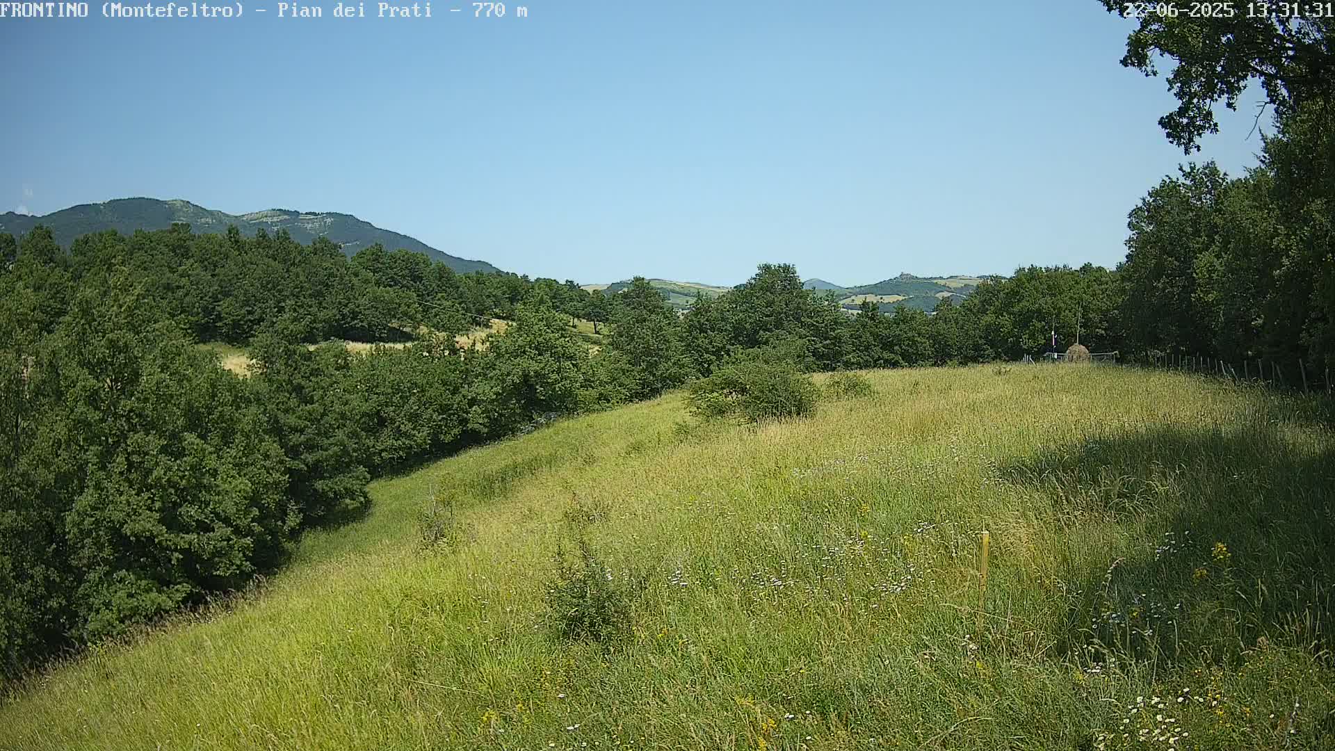 A grassy hillside with green trees and a distant mountain under a clear blue sky.
