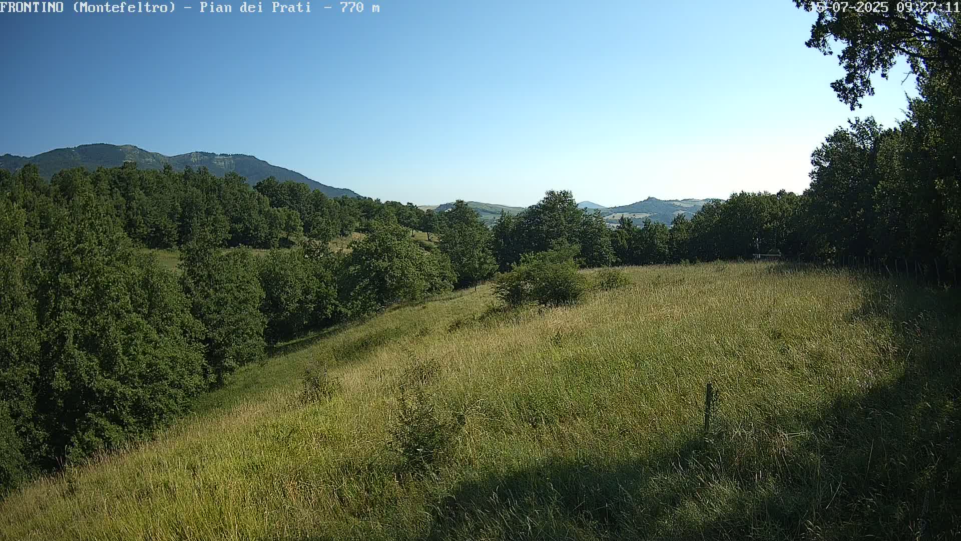 A grassy hillside dotted with trees slopes gently downward toward a background of distant mountains under a clear blue sky.