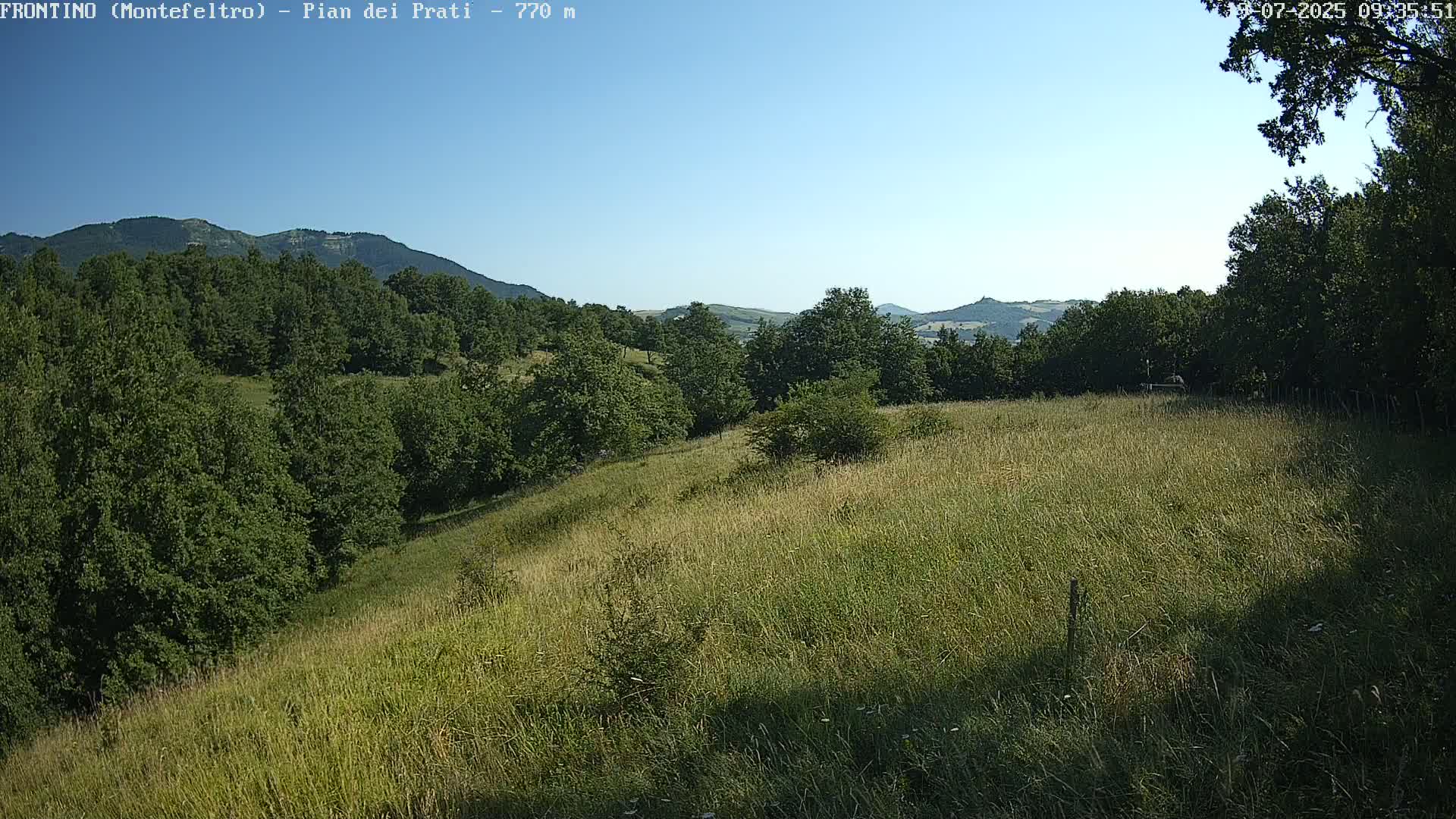 A grassy hillside dotted with trees slopes gently downward toward a line of taller trees and distant mountains under a clear blue sky.