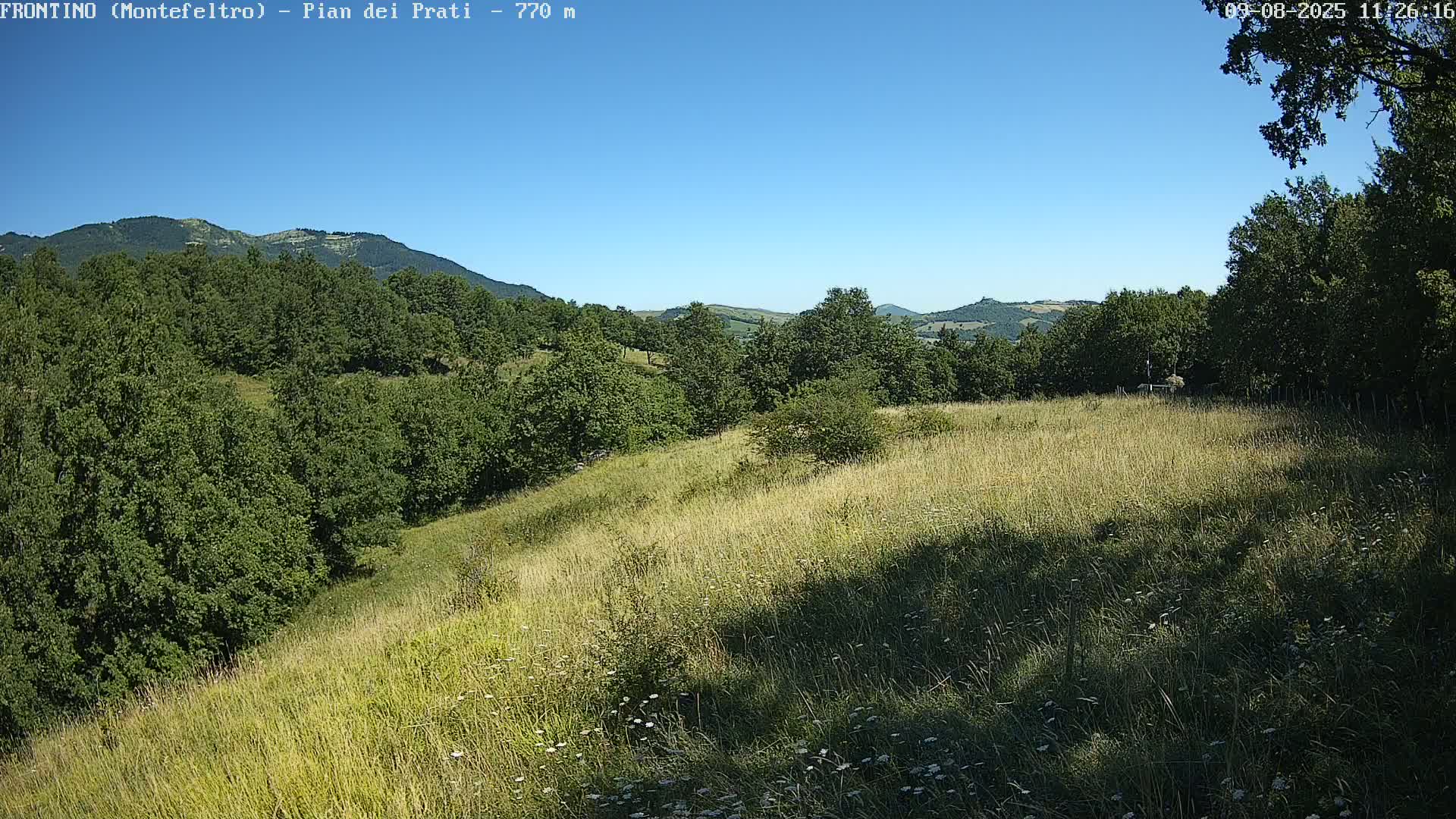 Pian dei Prati, Mount Carpegna Live Cam - Carpegna, Marche, Italy