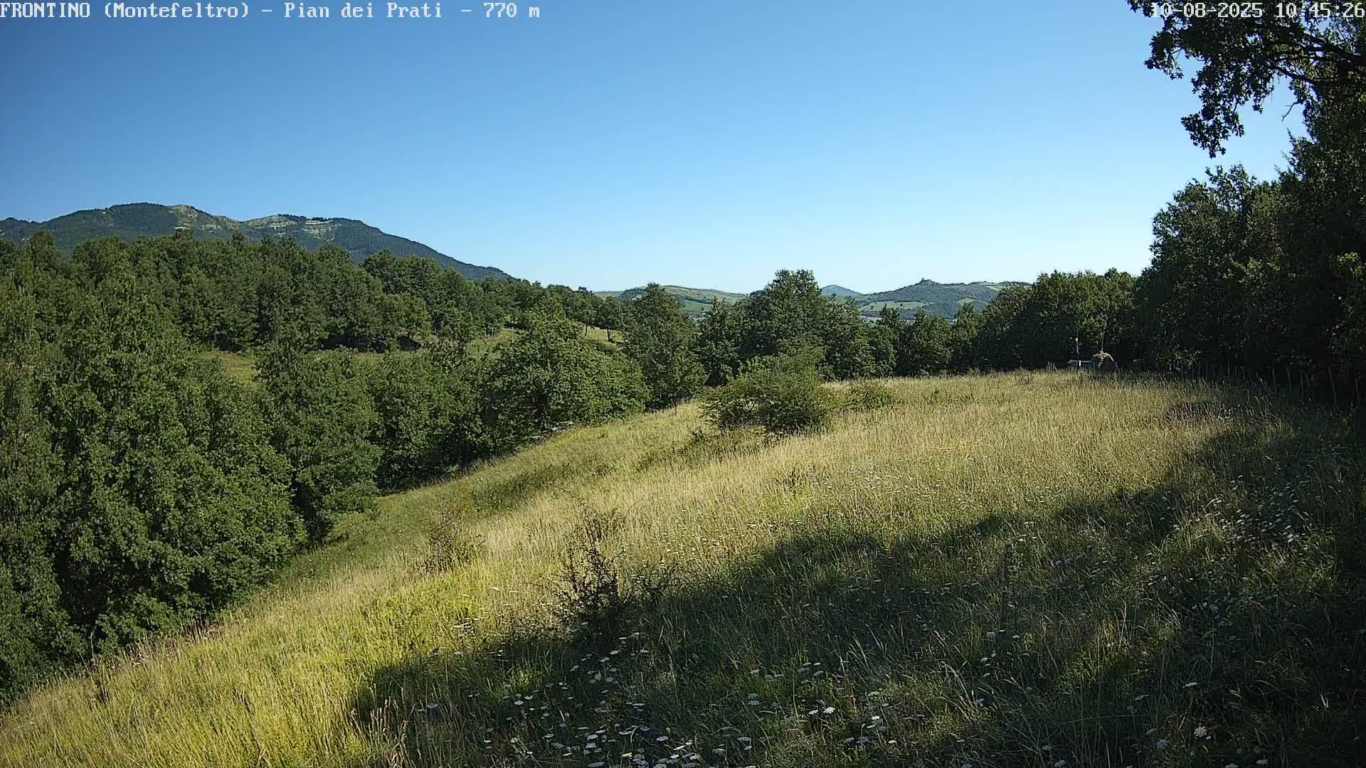 Pian dei Prati, Mount Carpegna Live Cam - Carpegna, Marche, Italy