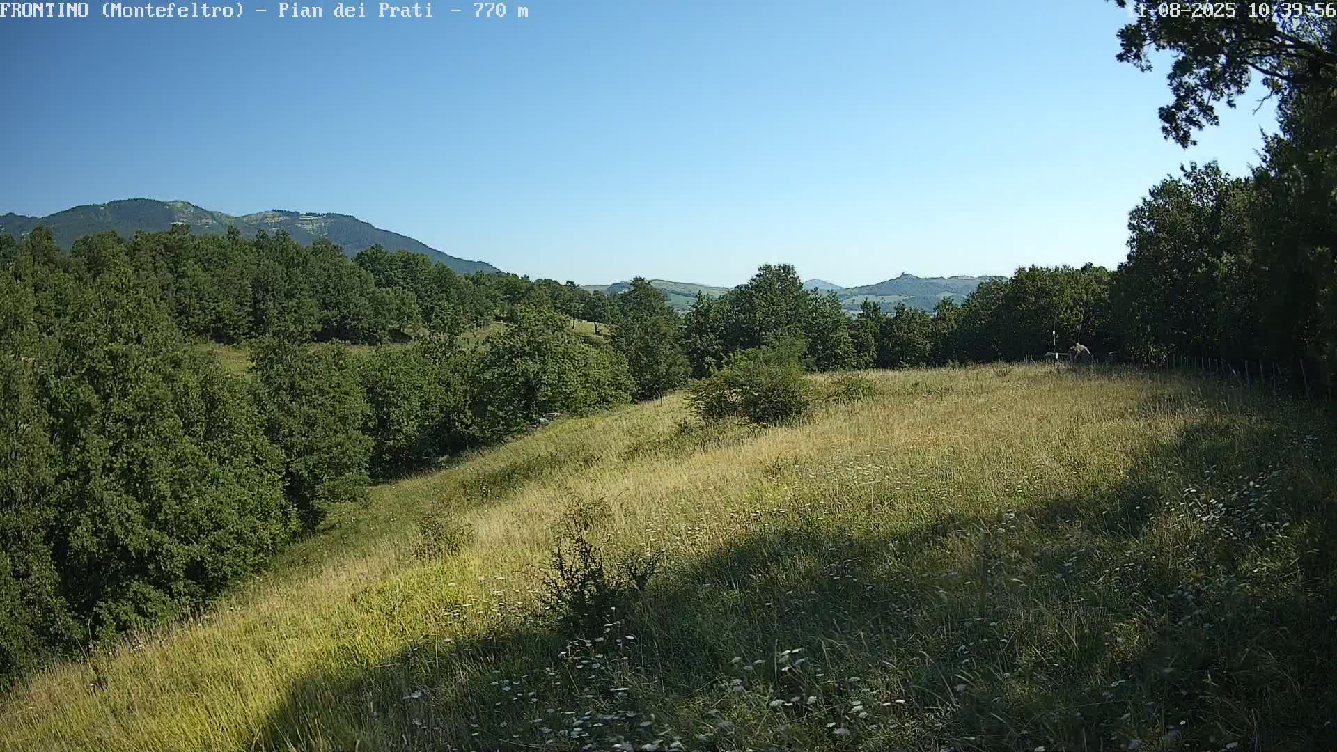 Pian dei Prati, Mount Carpegna Live Cam - Carpegna, Marche, Italy
