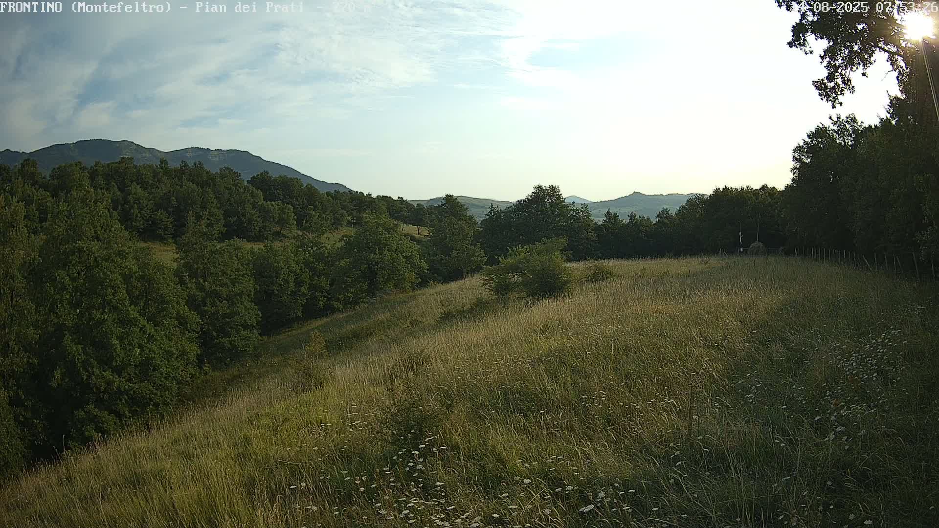 A grassy hillside dotted with wildflowers slopes gently down toward a line of dark green trees and distant, hazy mountains under a mostly clear, bright sky.