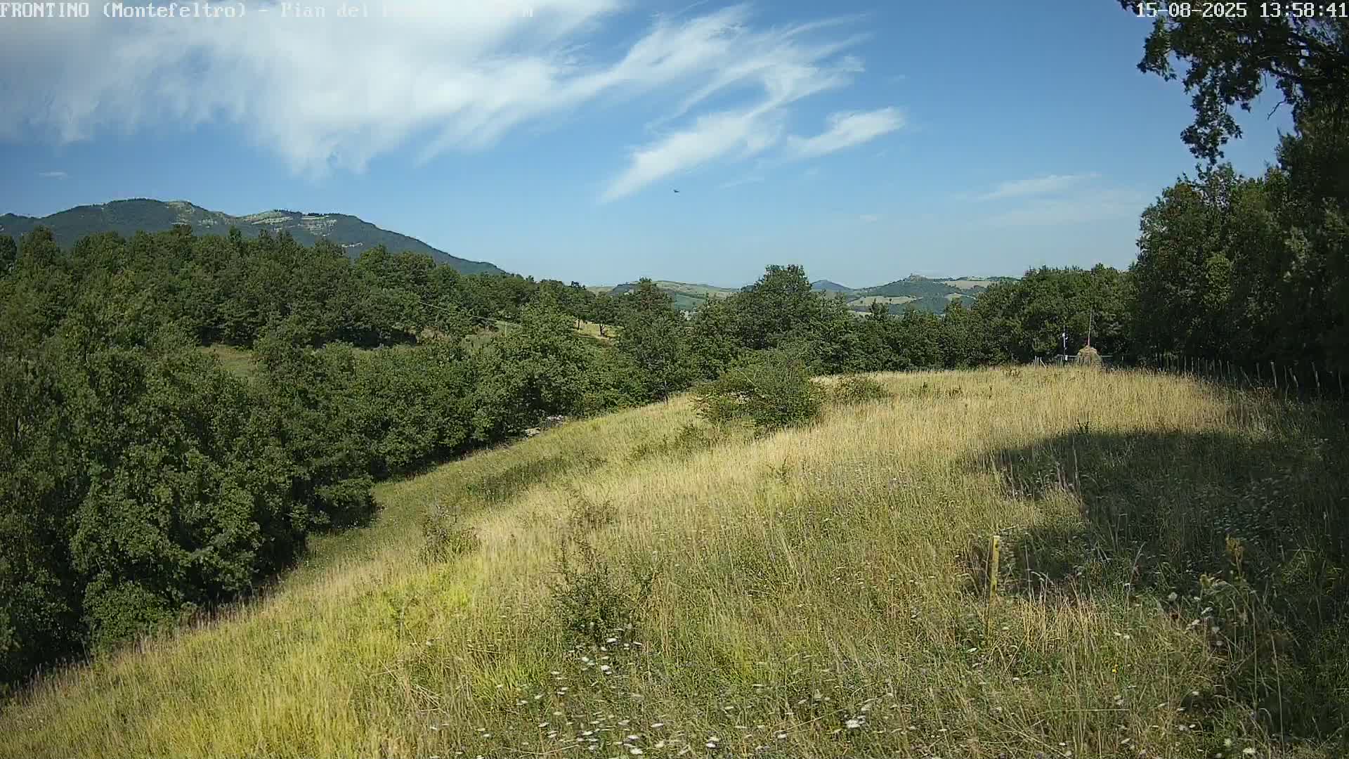 A grassy field slopes gently downward toward a line of trees and distant mountains under a partly cloudy sky.