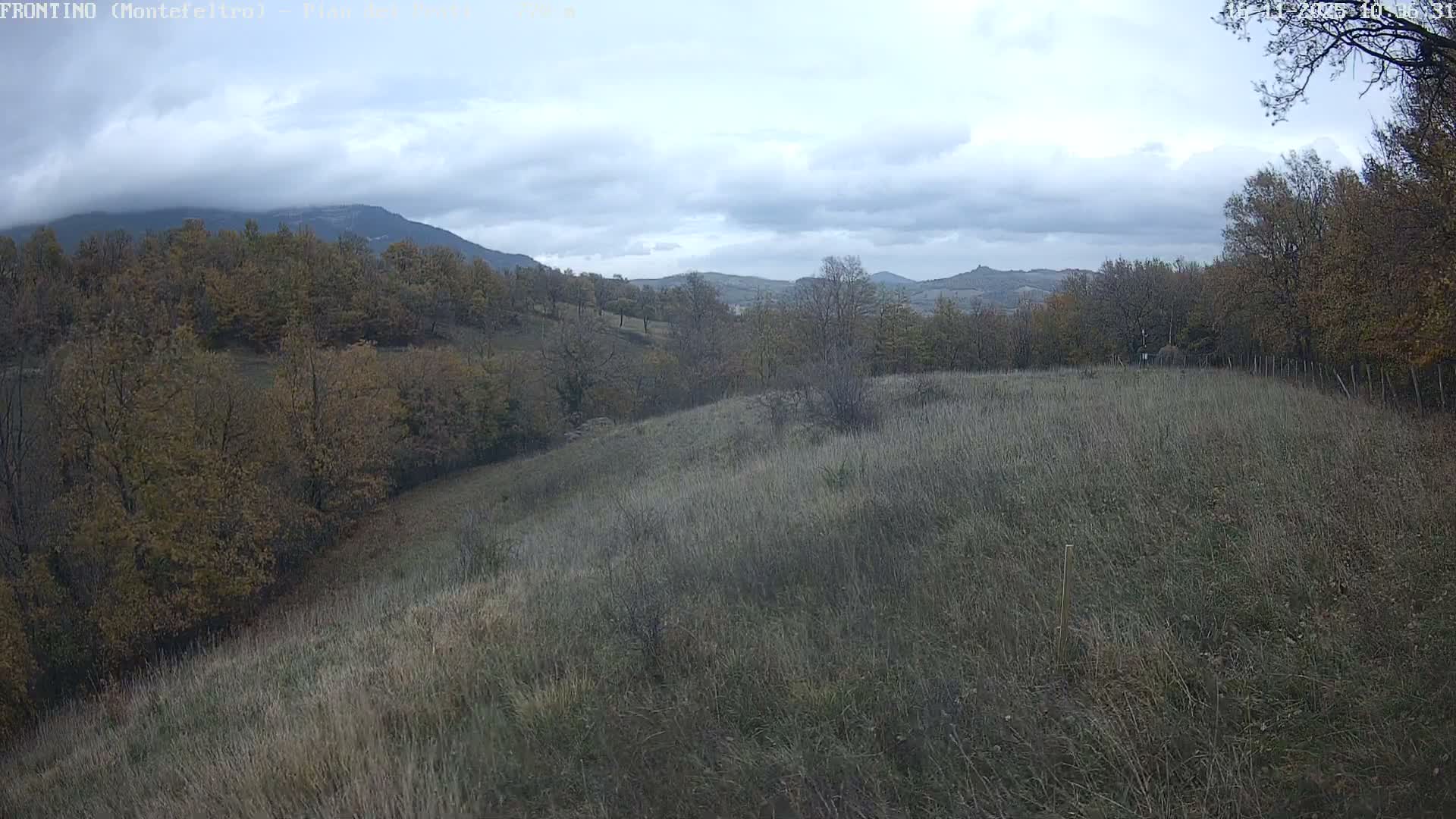 A wide shot reveals a tranquil, undulating autumnal landscape with dry grassy fields and numerous deciduous trees displaying muted fall foliage, all beneath a uniform, overcast sky.