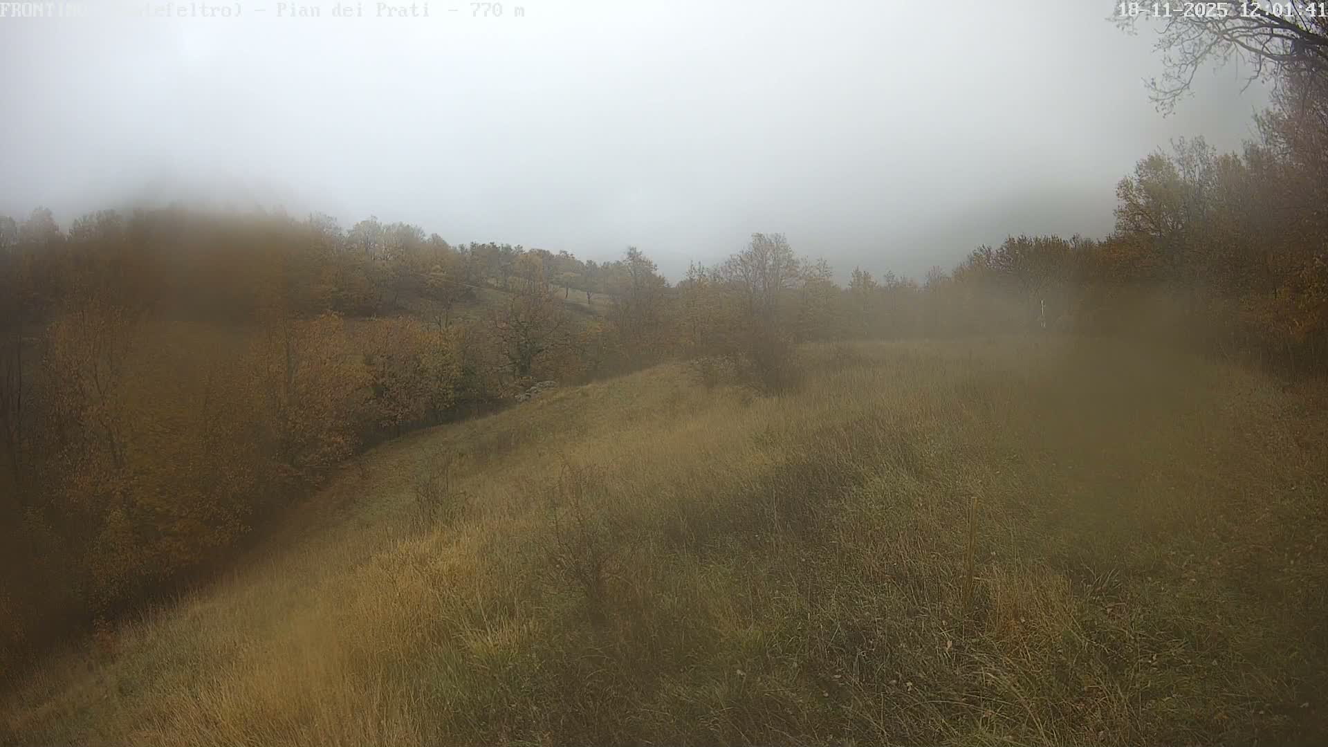 Pian dei Prati, Mount Carpegna Live Cam - Carpegna, Marche, Italy