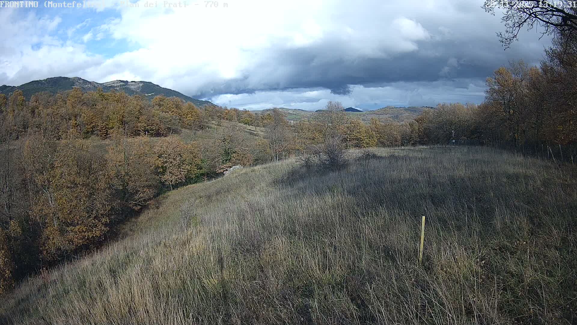 Pian dei Prati, Mount Carpegna Live Cam - Carpegna, Marche, Italy