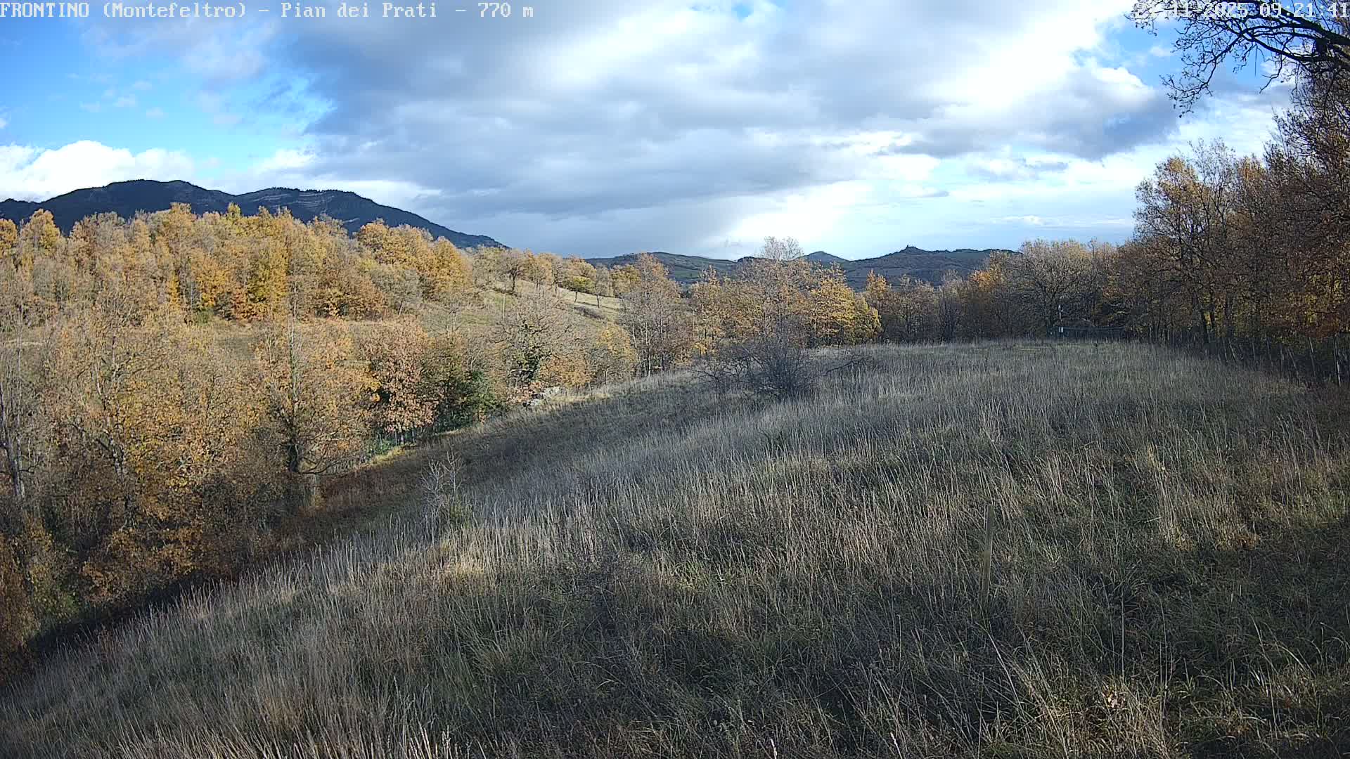 A vast field of dry, golden-brown grass slopes gently upwards towards hills covered in autumn trees and distant mountains under a partly cloudy sky with patches of blue.