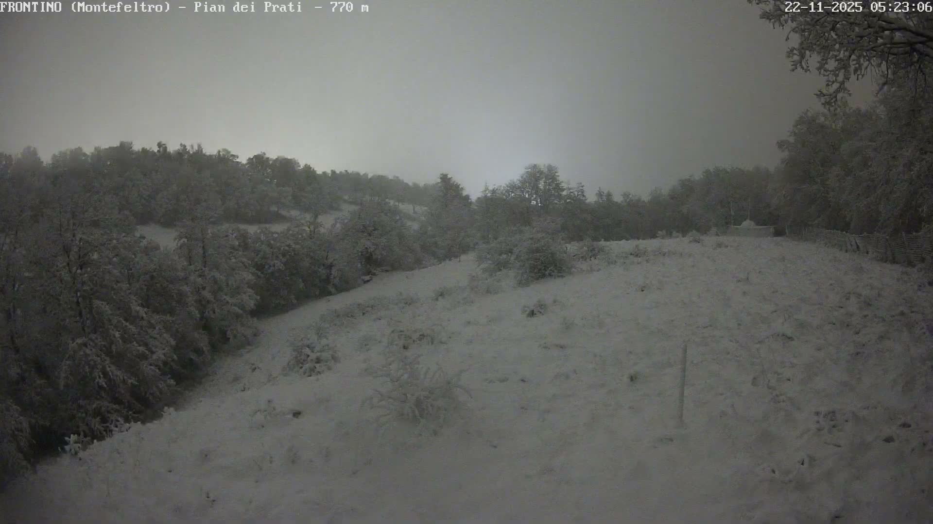 Pian dei Prati, Mount Carpegna Live Cam - Carpegna, Marche, Italy