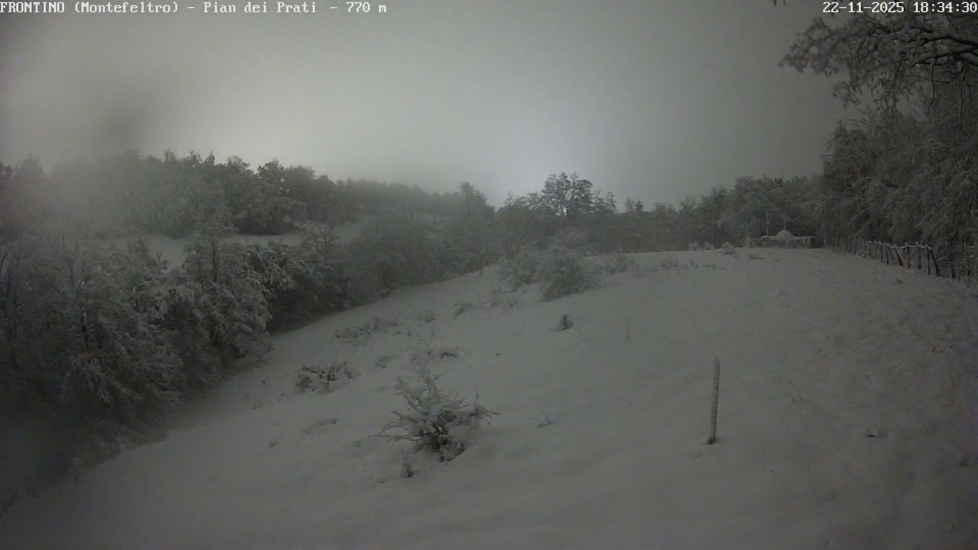 Pian dei Prati, Mount Carpegna Live Cam - Carpegna, Marche, Italy