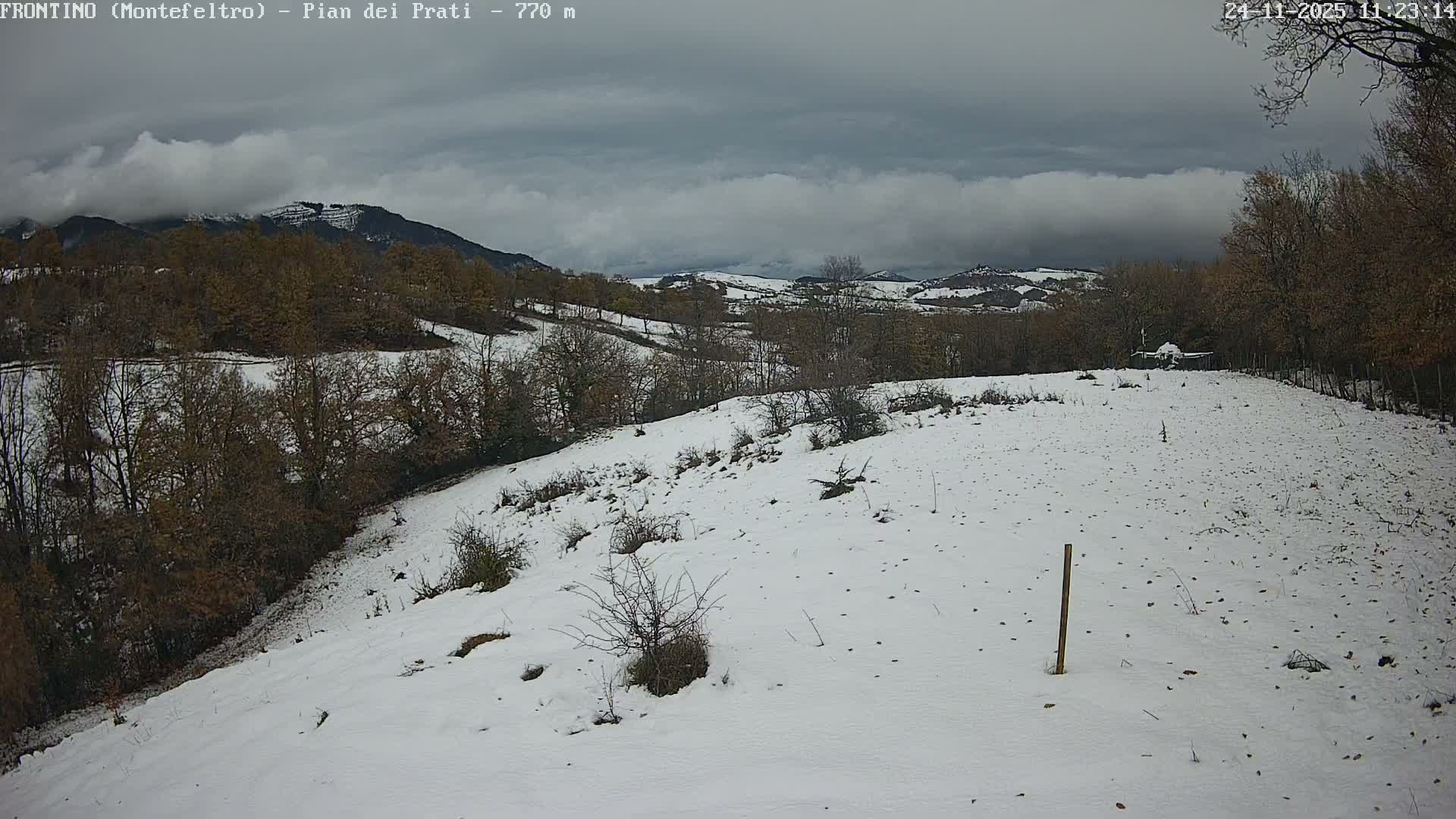 Pian dei Prati, Mount Carpegna Live Cam - Carpegna, Marche, Italy