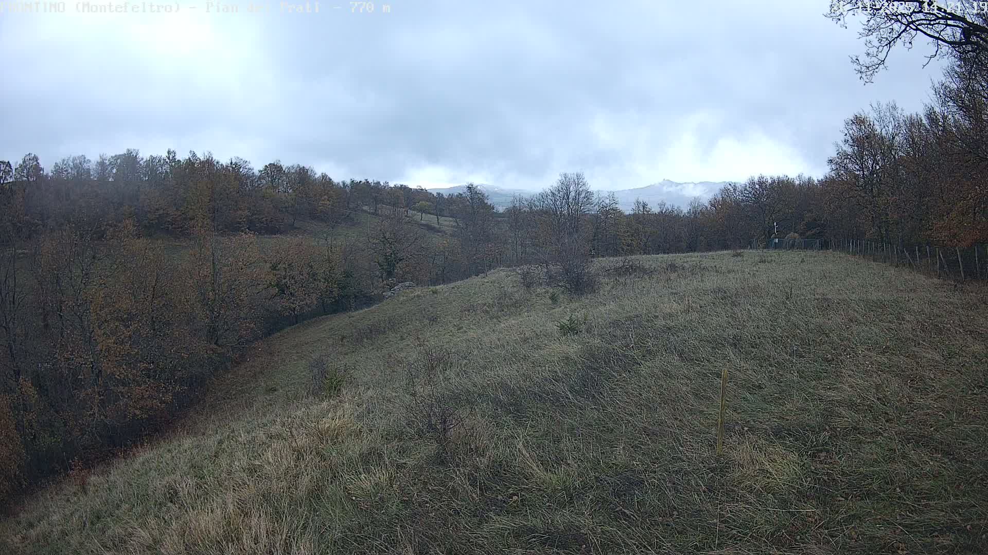 Pian dei Prati, Mount Carpegna Live Cam - Carpegna, Marche, Italy