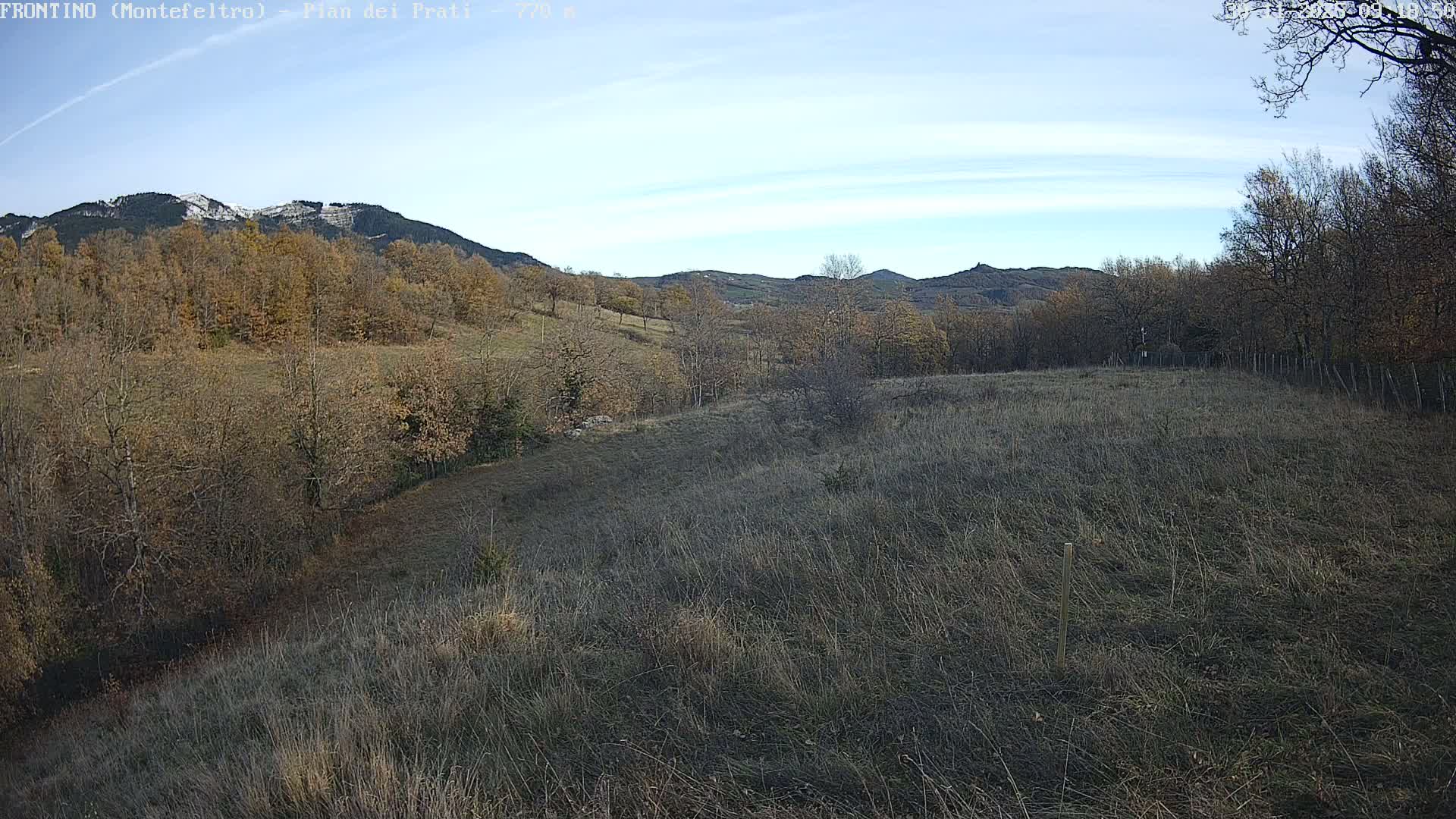 A wide outdoor view captures a hilly, forested landscape transitioning from late autumn to early winter, with dry, golden-brown grasses and deciduous trees with mostly bare or muted autumn leaves, leading up to distant snow-capped mountains under a clear, bright blue sky with faint wispy clouds.