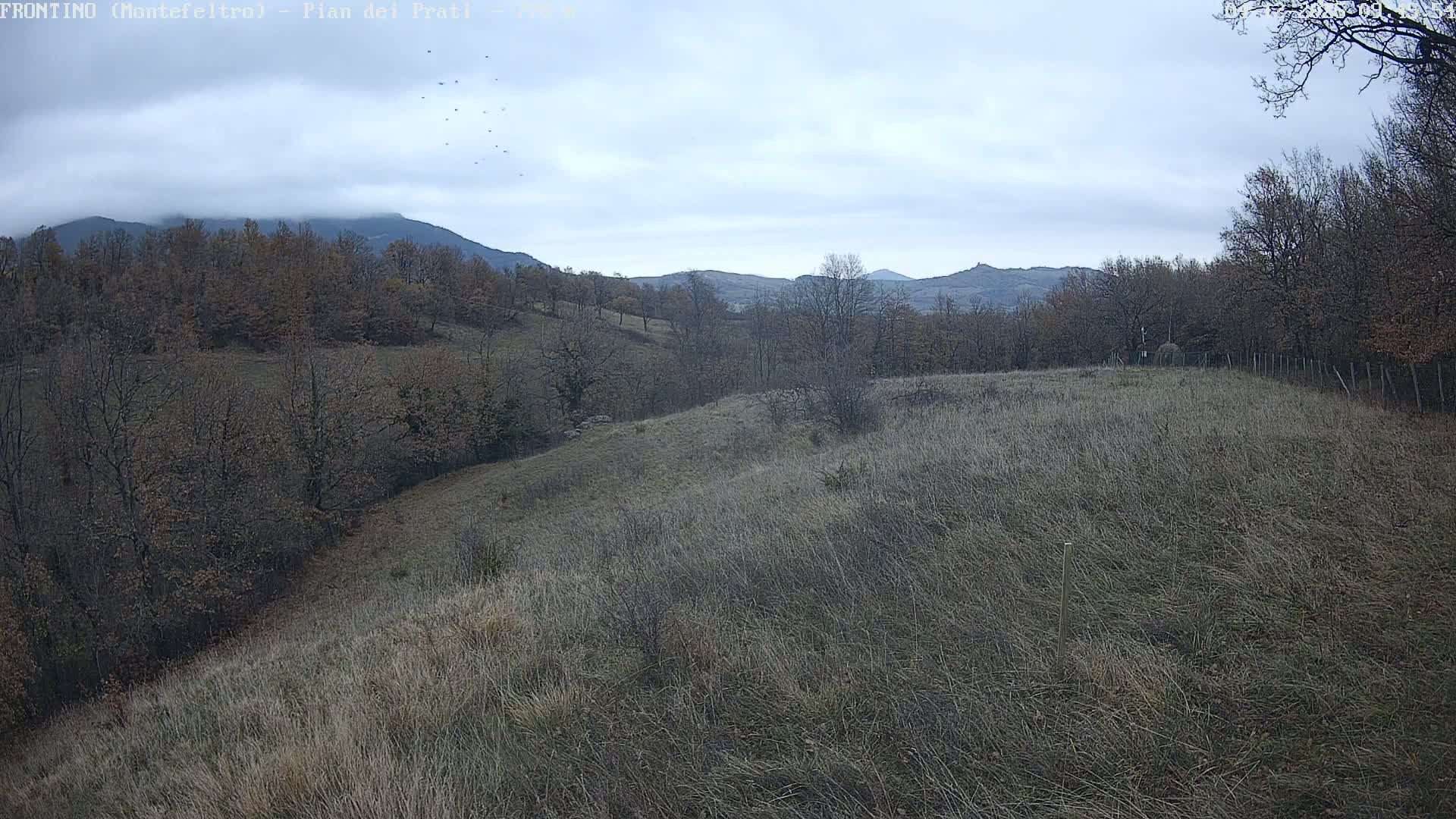 A vast, overcast landscape features rolling hills covered in dry, dormant grass and bare deciduous trees, with distant mountains under a cloudy sky and a flock of small birds soaring above.