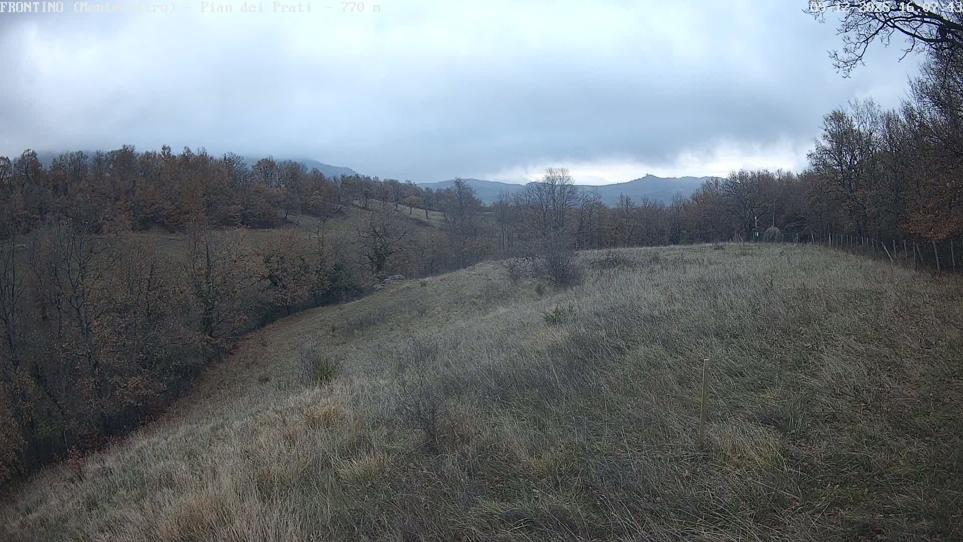 Pian dei Prati, Mount Carpegna Live Cam - Carpegna, Marche, Italy