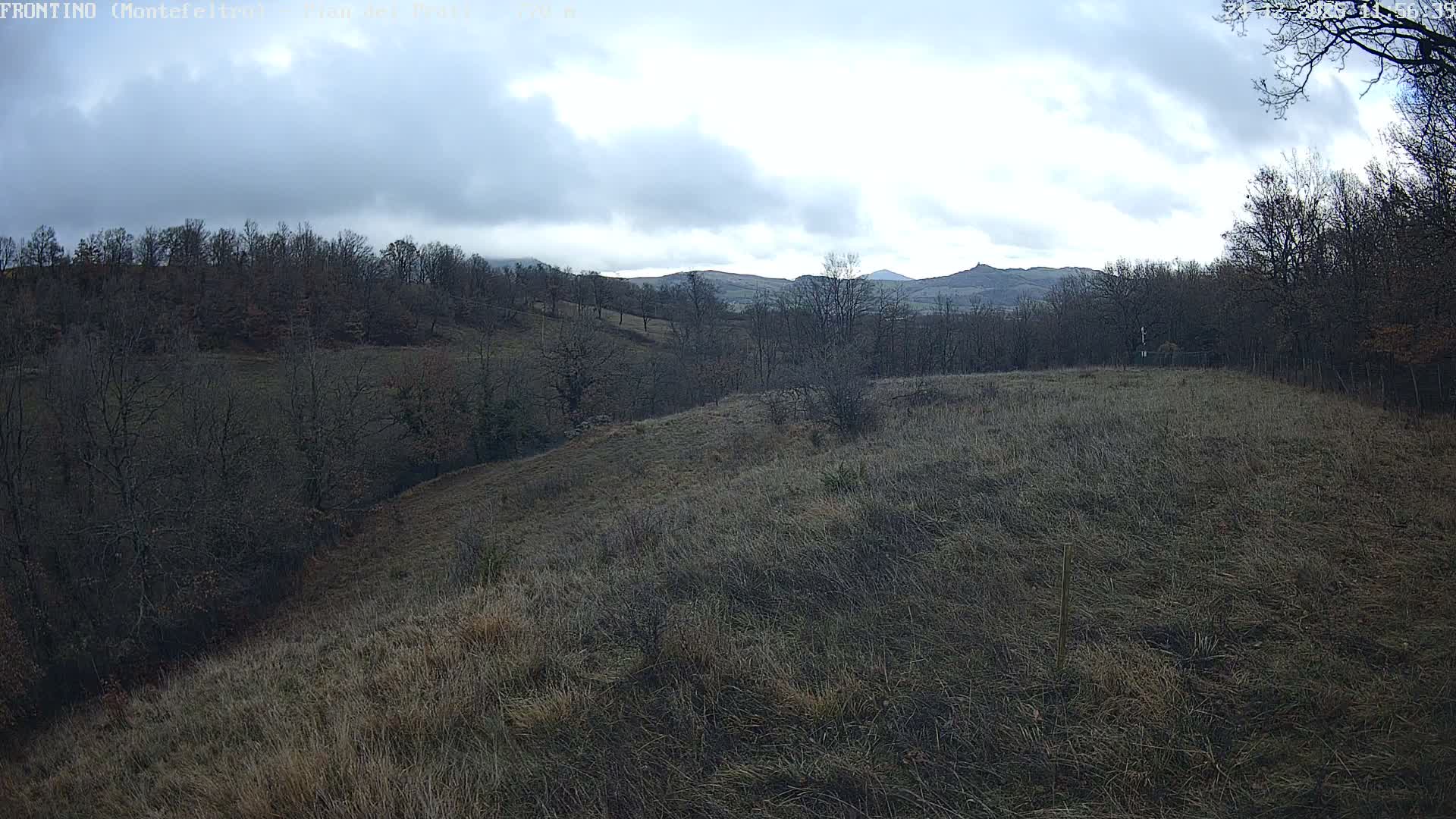 Pian dei Prati, Mount Carpegna Live Cam - Carpegna, Marche, Italy
