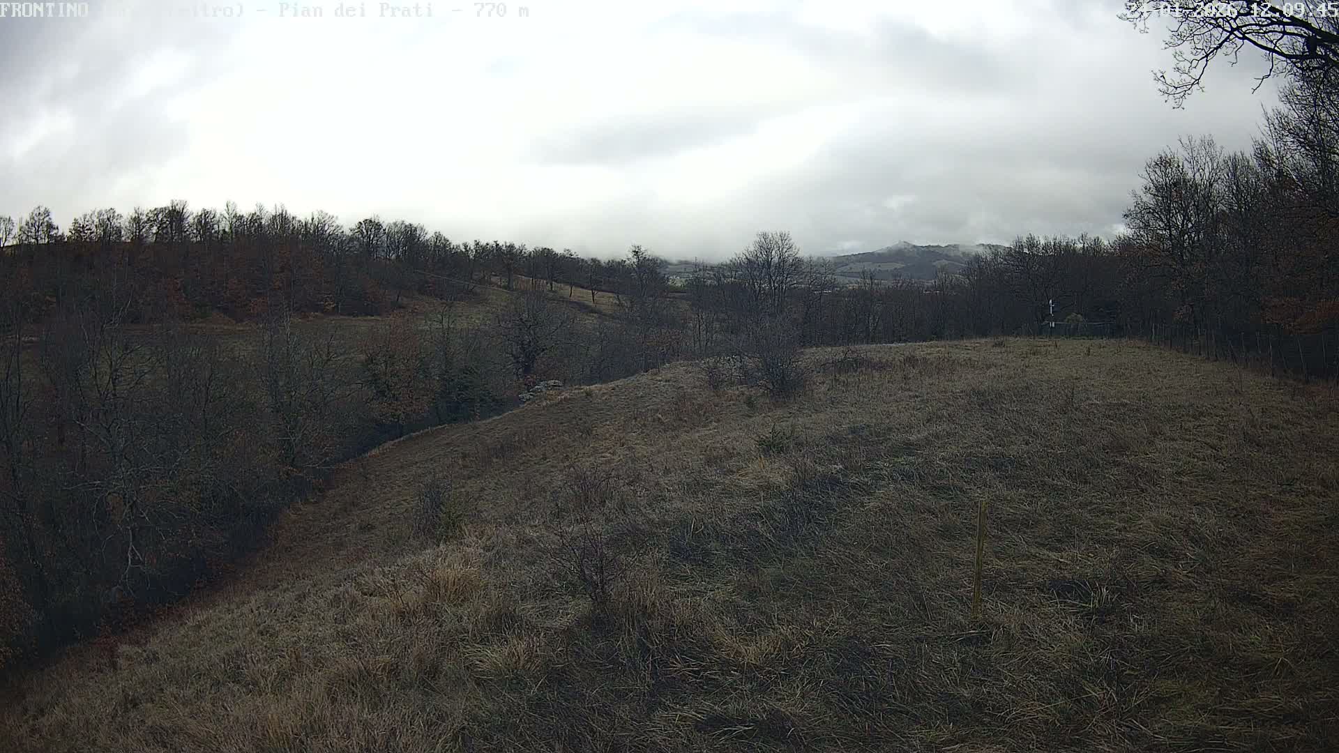 Pian dei Prati, Mount Carpegna Live Cam - Carpegna, Marche, Italy