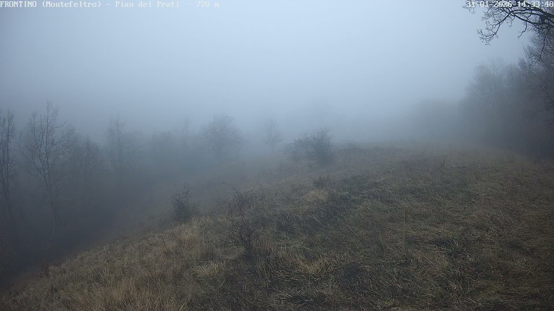 Pian dei Prati, Mount Carpegna Live Cam - Carpegna, Marche, Italy