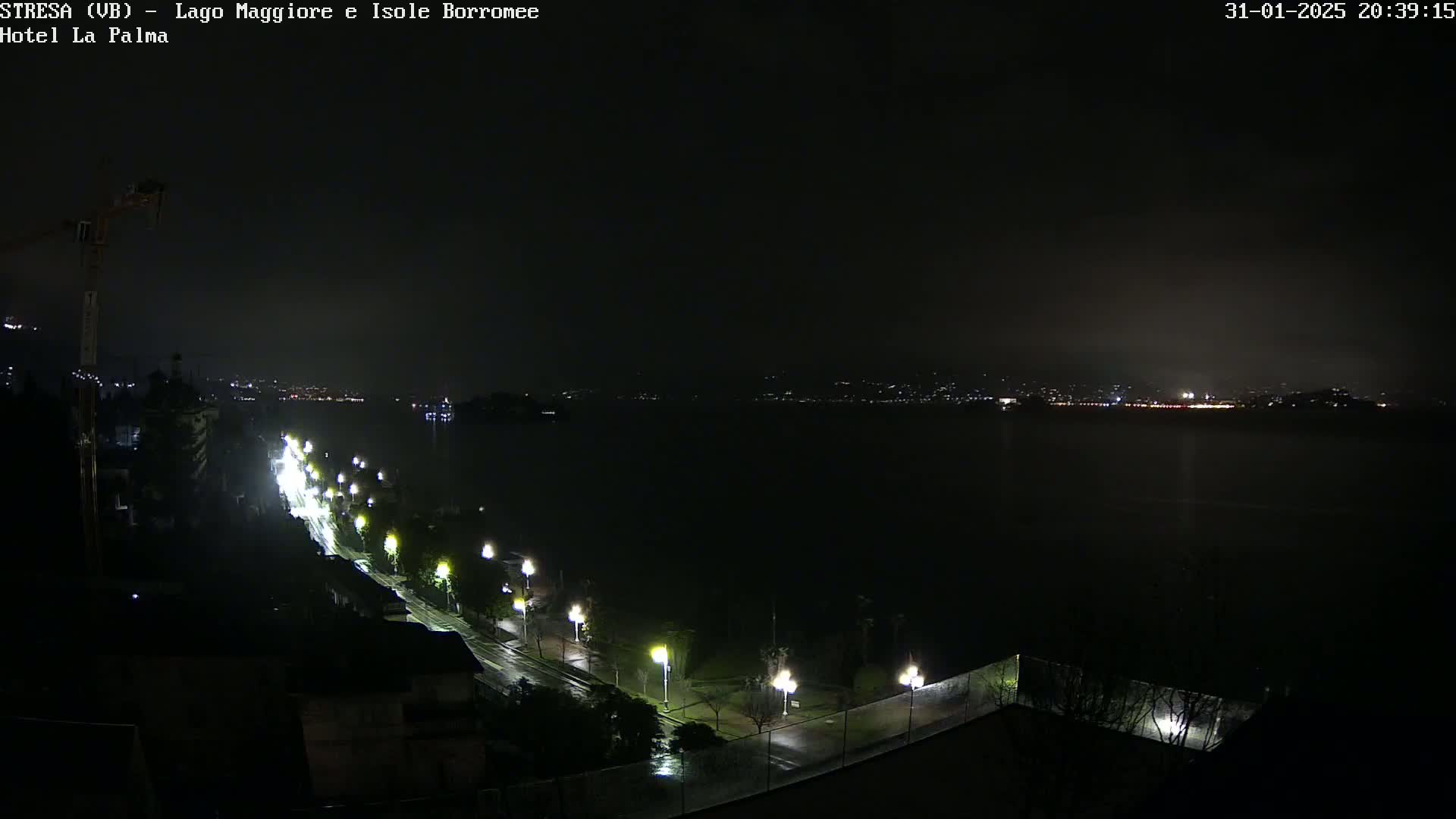 A rain-slicked, nighttime road lined with illuminated streetlights descends toward a dark body of water, with a faintly visible cityscape in the distance under a misty sky.