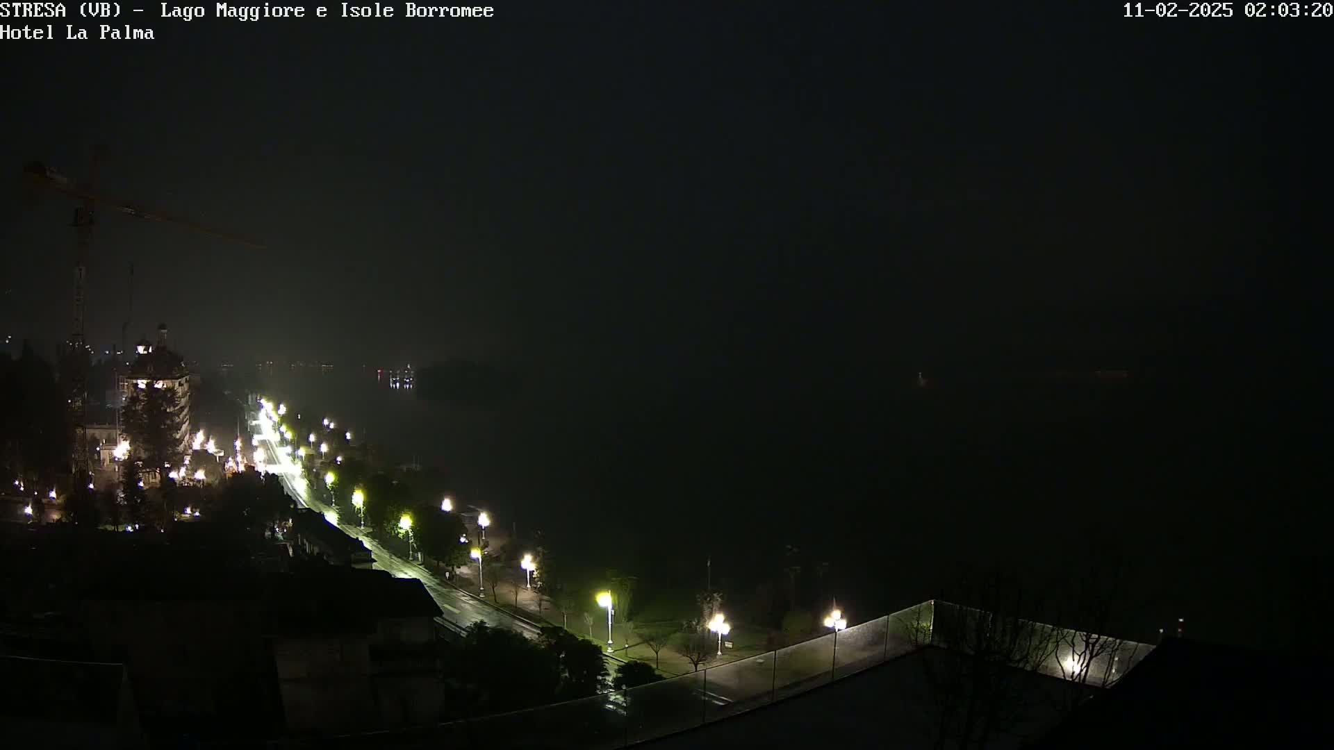 A nighttime, foggy view of a city road lined with streetlights leading to a dark body of water.