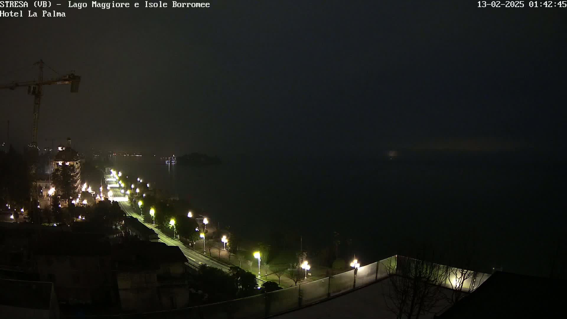 A nighttime, foggy view of a city road and waterfront, illuminated by streetlights, with a construction crane visible in the background.