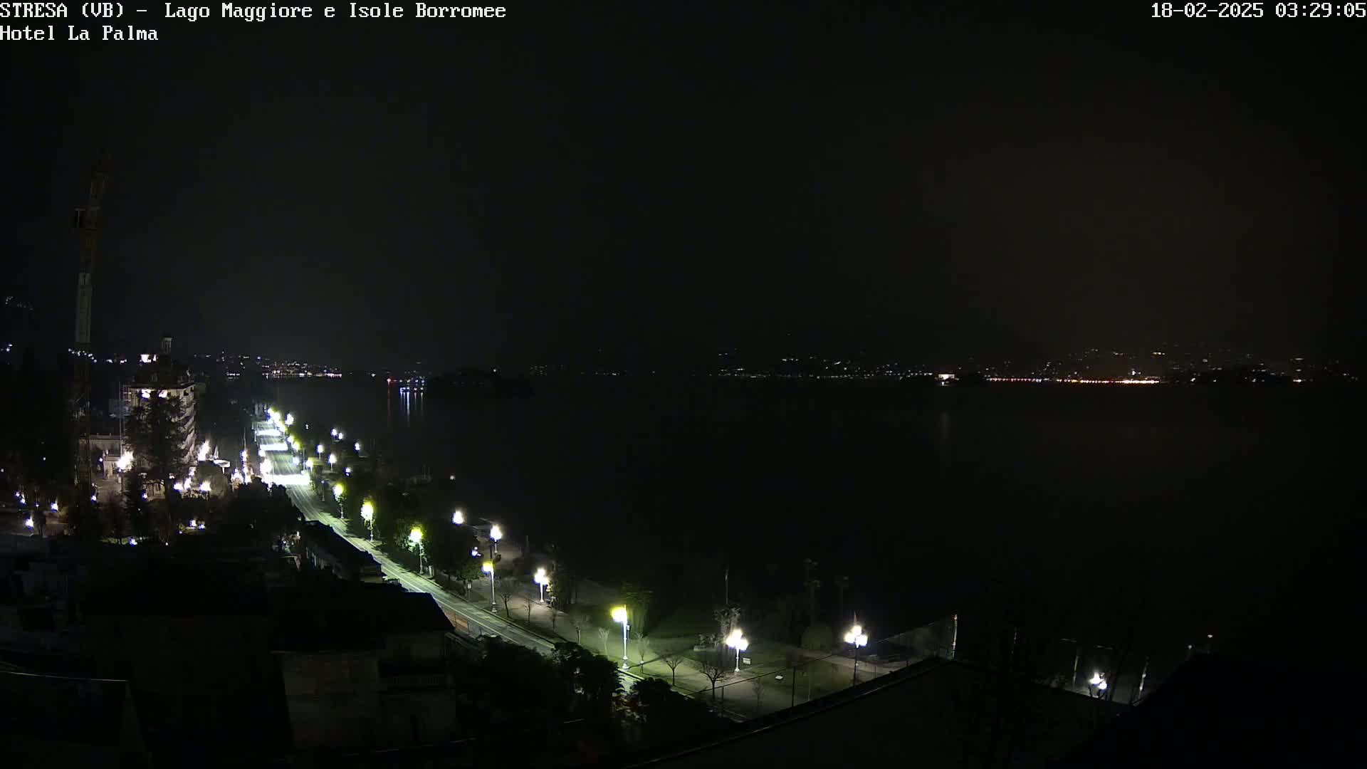 A nighttime view of a city along a dark body of water, with streetlights illuminating a road and surrounding area.