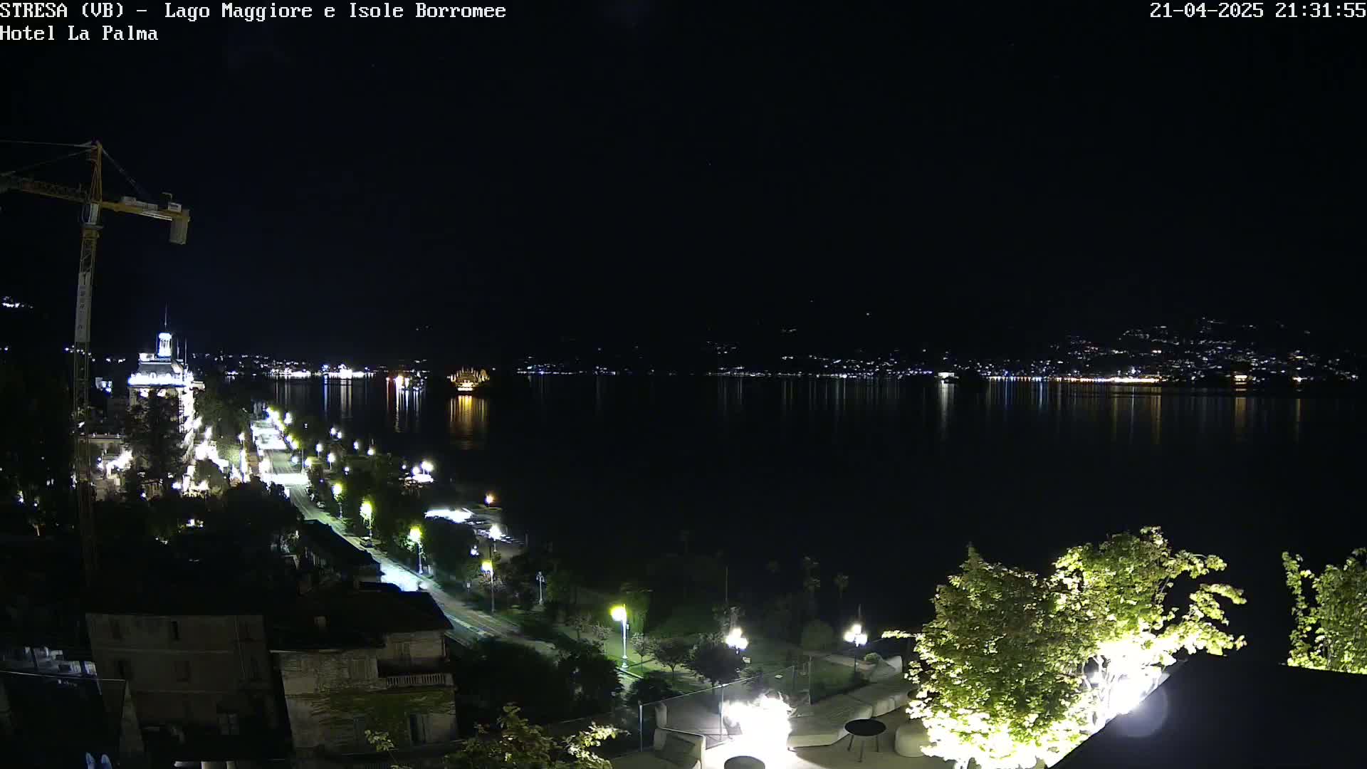A nighttime view of a city's waterfront, featuring a calm lake reflecting city lights, a road lined with trees and streetlights, and a construction crane.