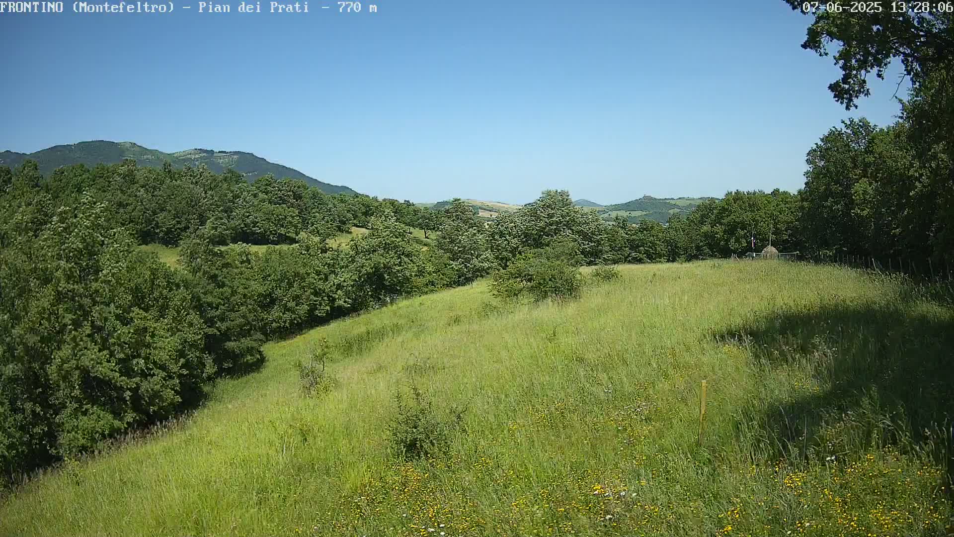 A gently sloping grassy field dotted with wildflowers sits below a line of green trees and rolling hills under a clear blue sky.