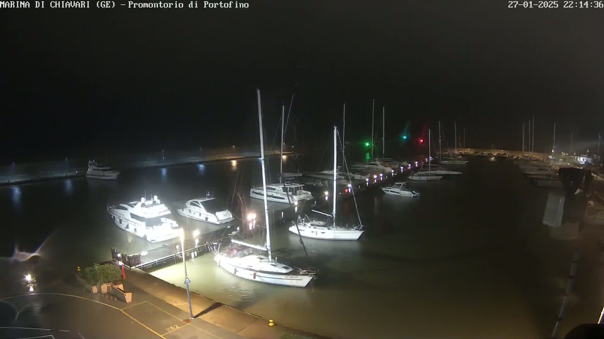 Many sailboats and motorboats are moored in a marina at night under rainy conditions.