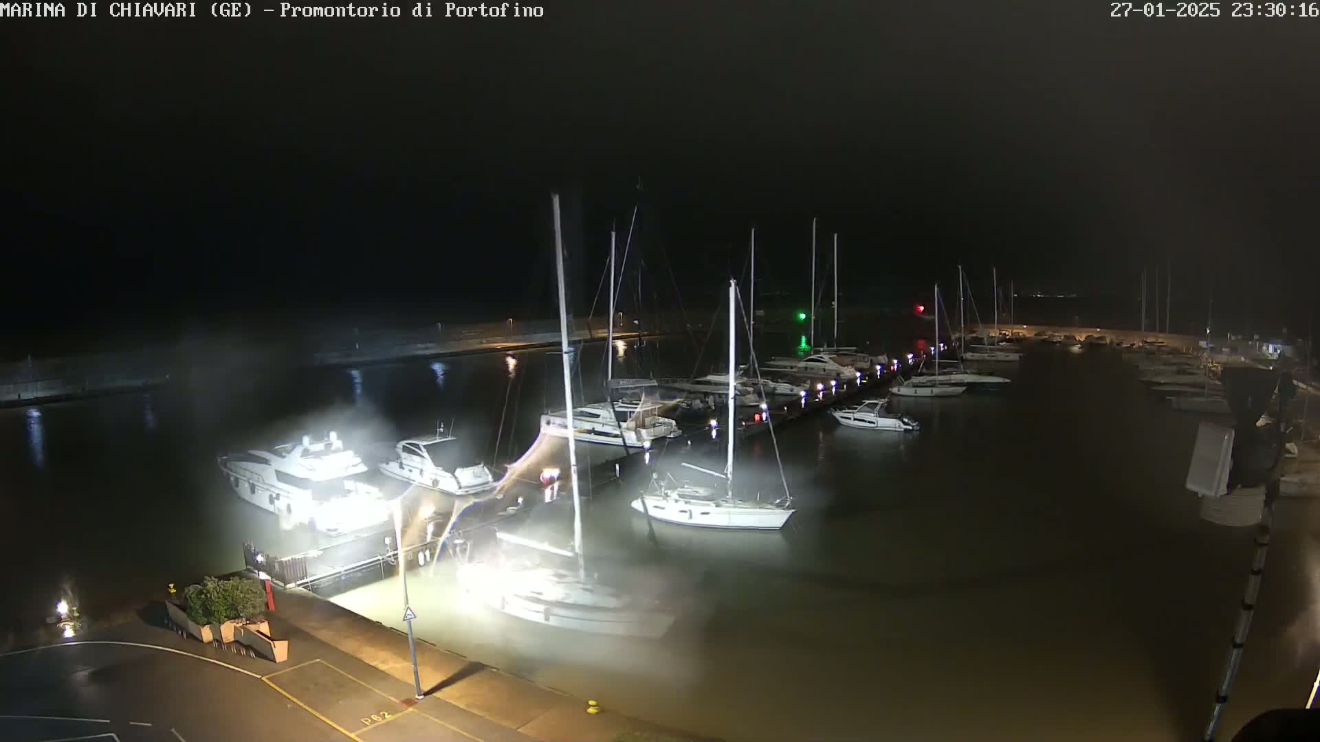 Numerous boats are docked at a marina at night in foggy or misty conditions.