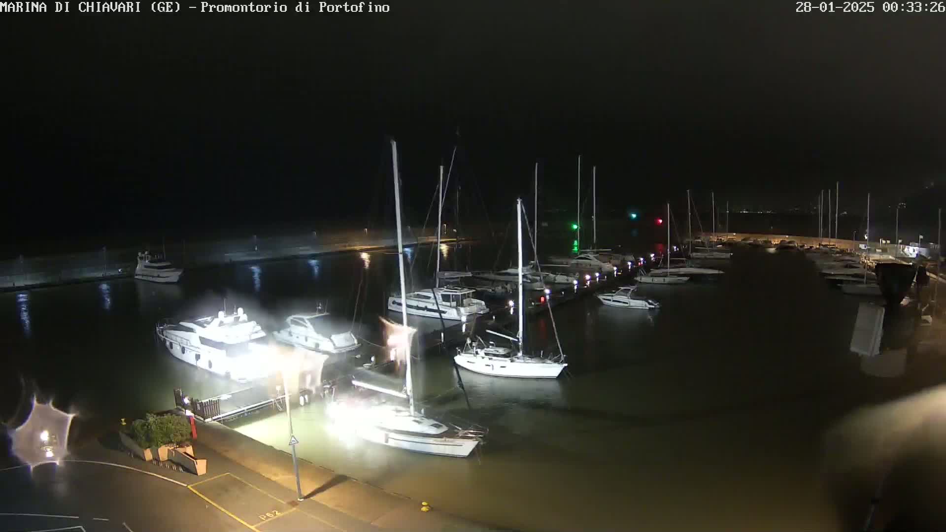 Numerous boats are docked at a marina at night in rainy conditions.