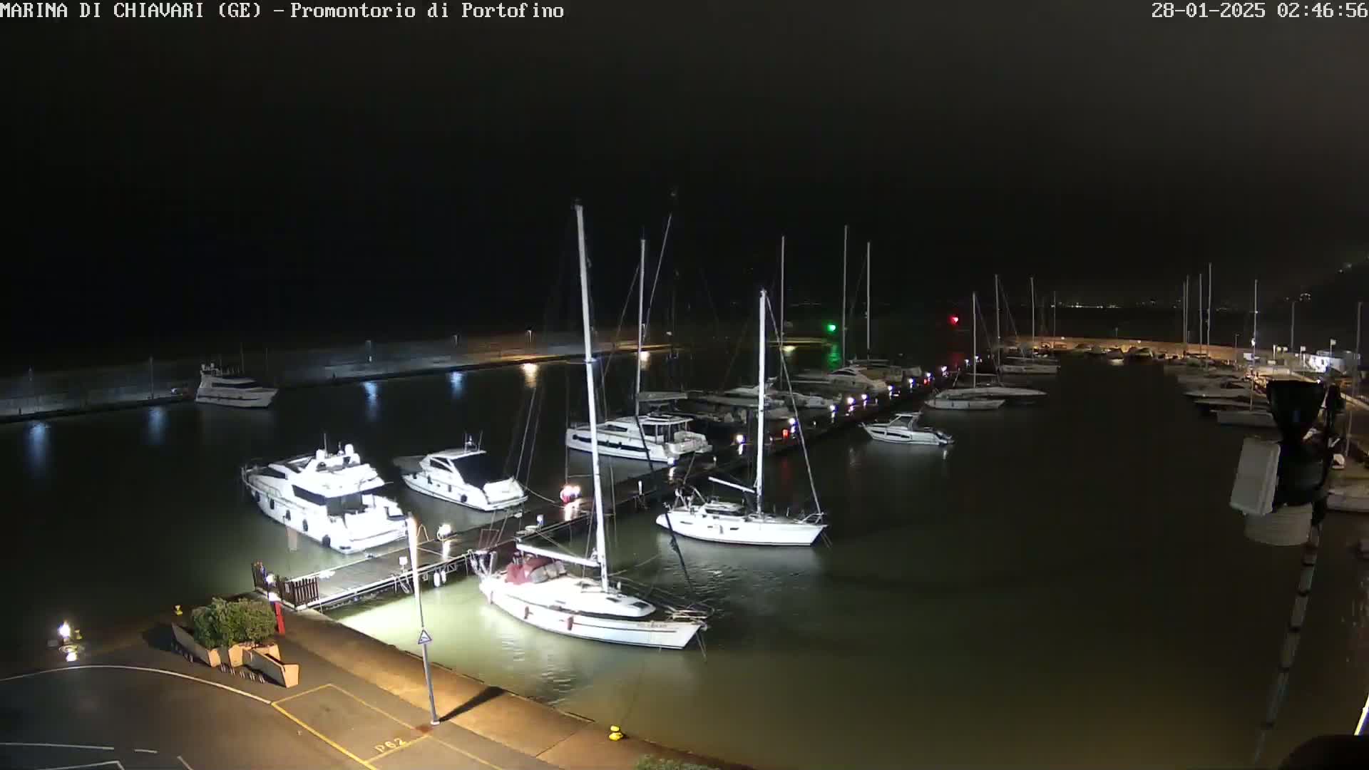 A nighttime view of a marina filled with yachts and sailboats moored at docks under a dark sky.