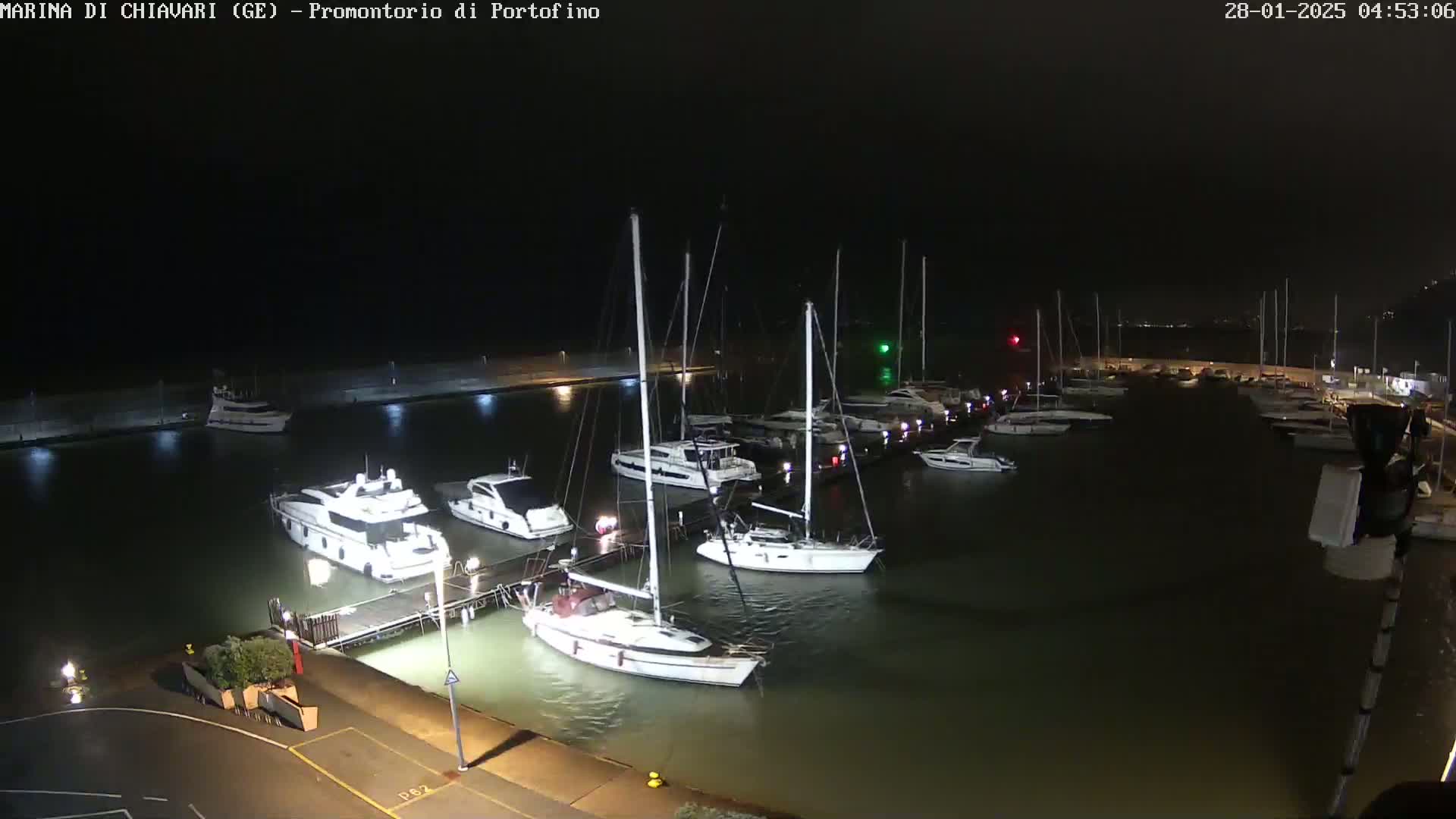 Numerous boats are docked at a marina at night under dark skies.