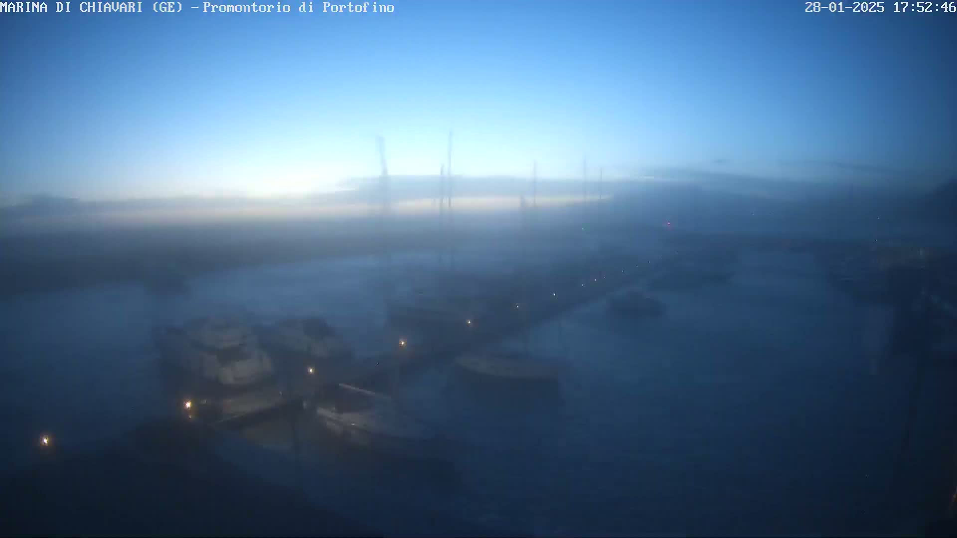 A foggy harbor at dawn or dusk shows numerous boats moored at docks.