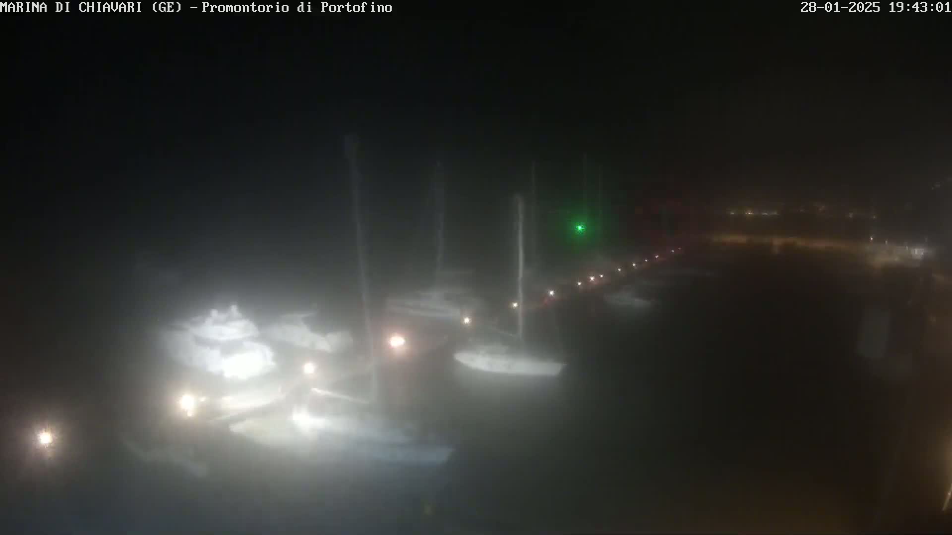A nighttime, foggy view of a marina with several boats docked, their lights faintly visible.