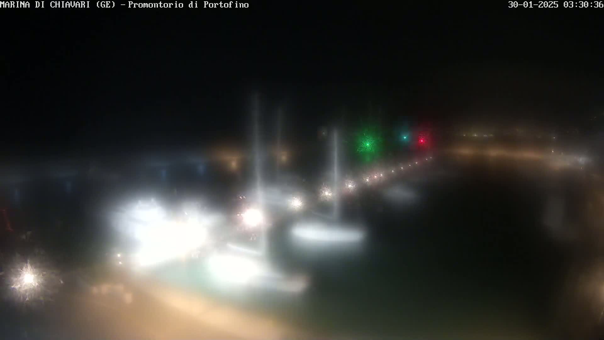 A nighttime, foggy view of a harbor with numerous boats and their lights blurred in the distance.