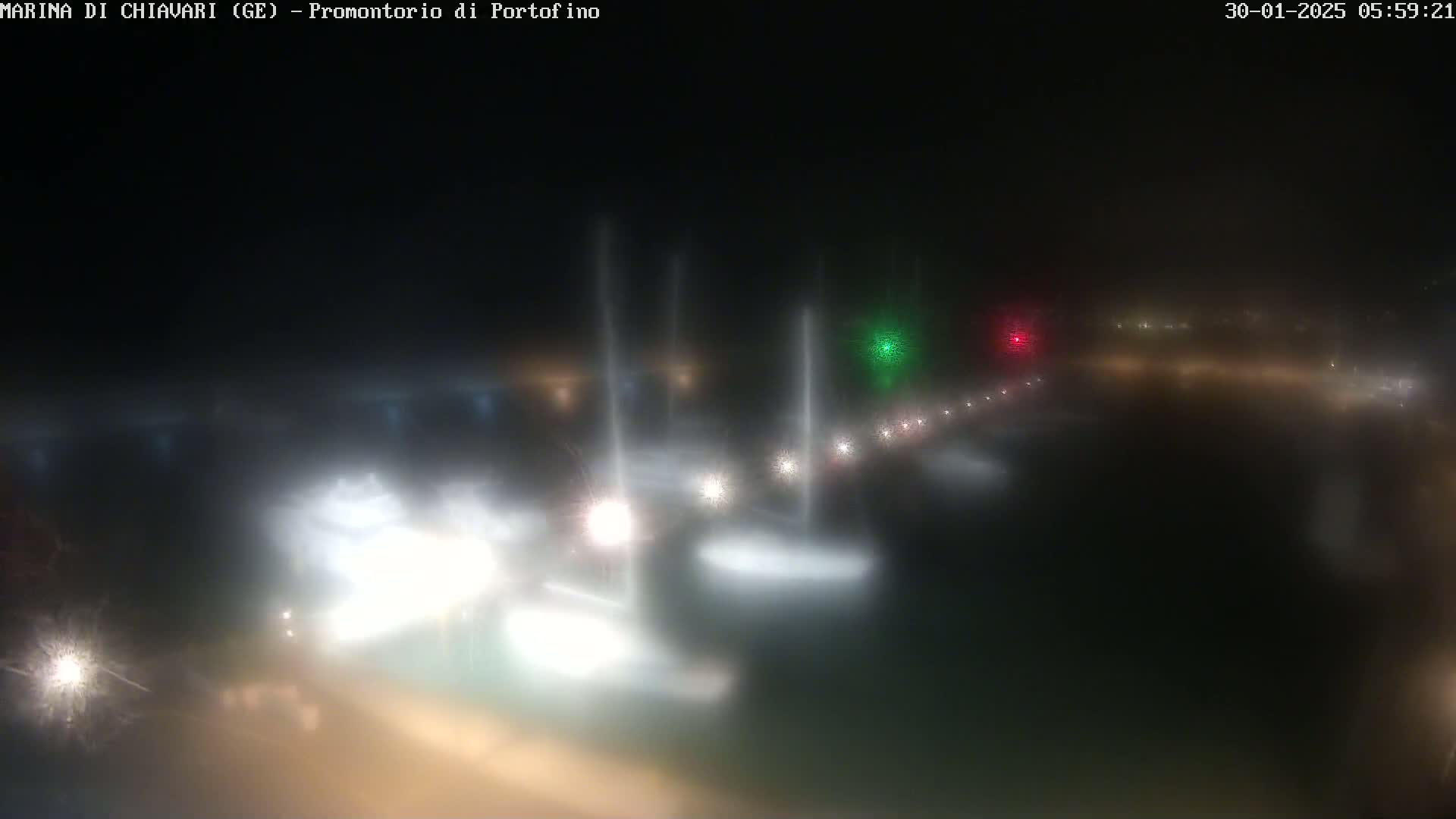 A nighttime, foggy view of a harbor with several boats illuminated by their lights.