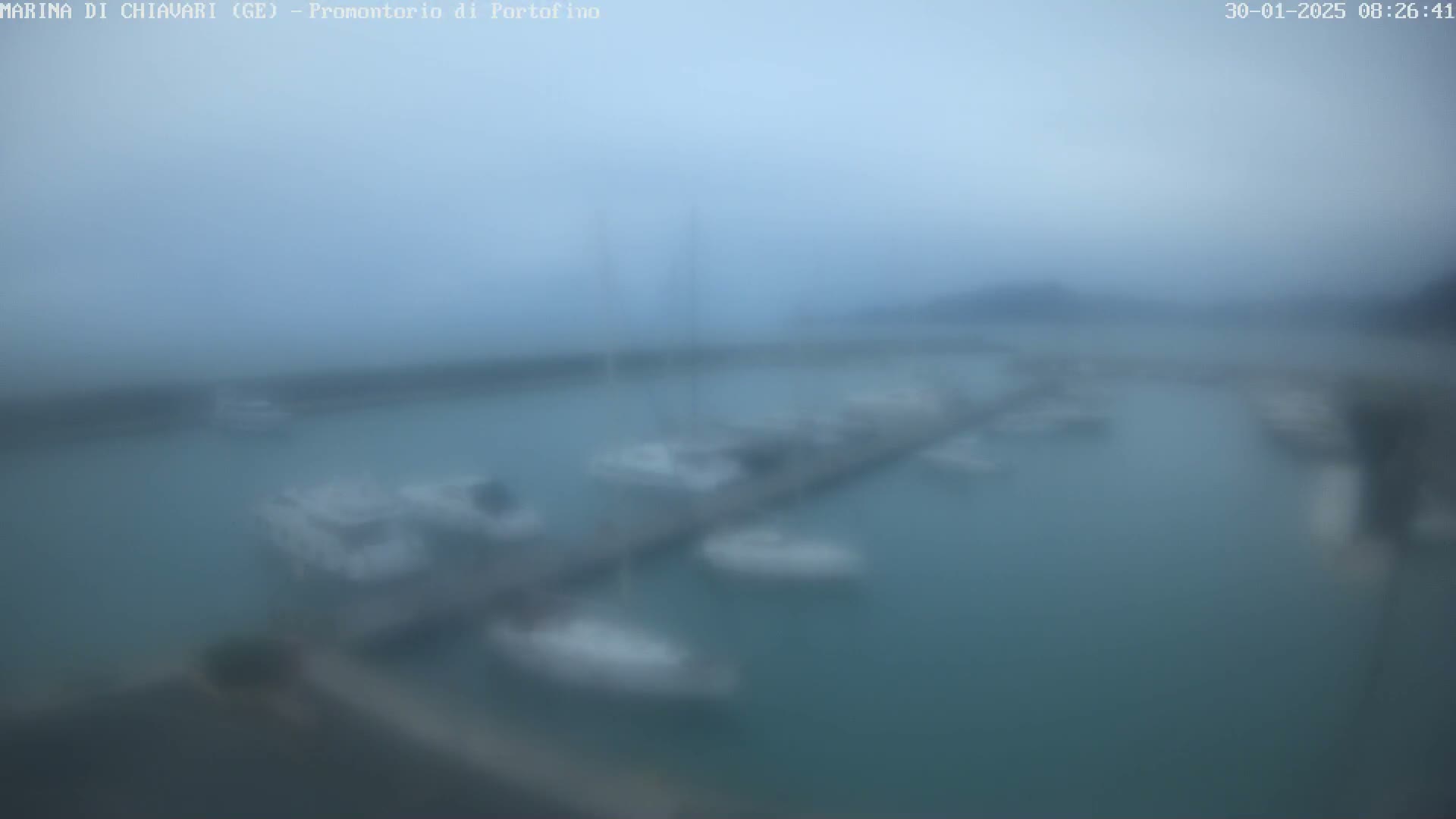 A blurry view of a marina with many boats docked on a hazy, overcast day.