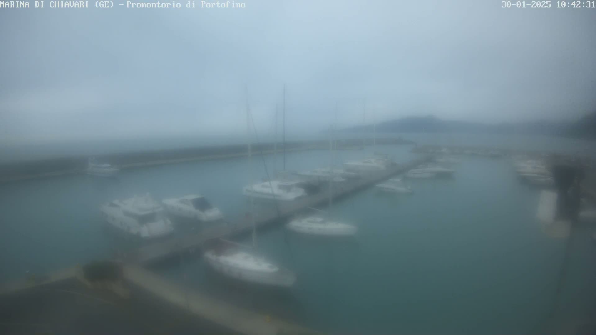 A foggy view of a marina with numerous boats docked at piers.