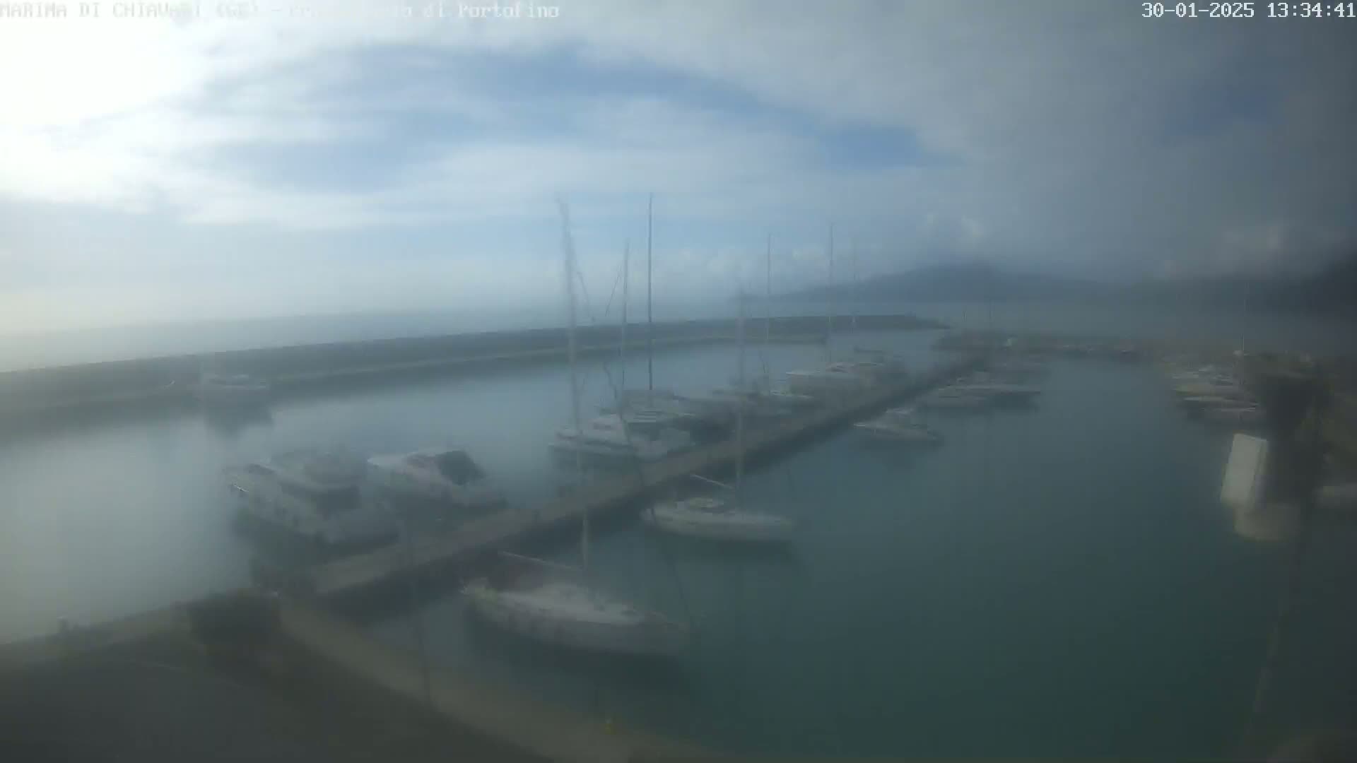 A hazy marina filled with numerous boats docked along a pier, with a distant landmass visible through the mist.
