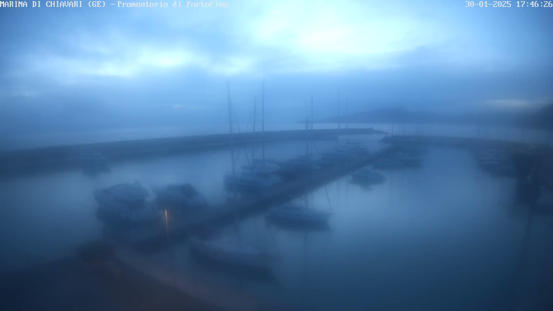 A marina filled with boats is shrouded in a thick fog under a dusky sky.