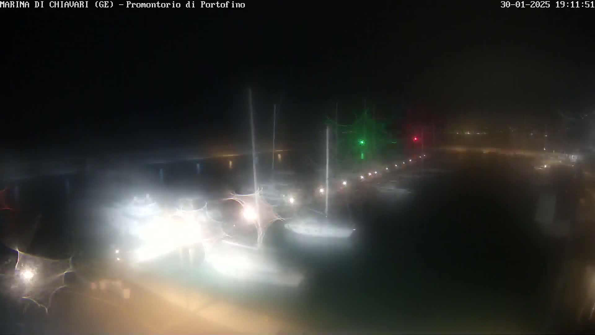 A nighttime, foggy view of a harbor with several sailboats illuminated by their lights.