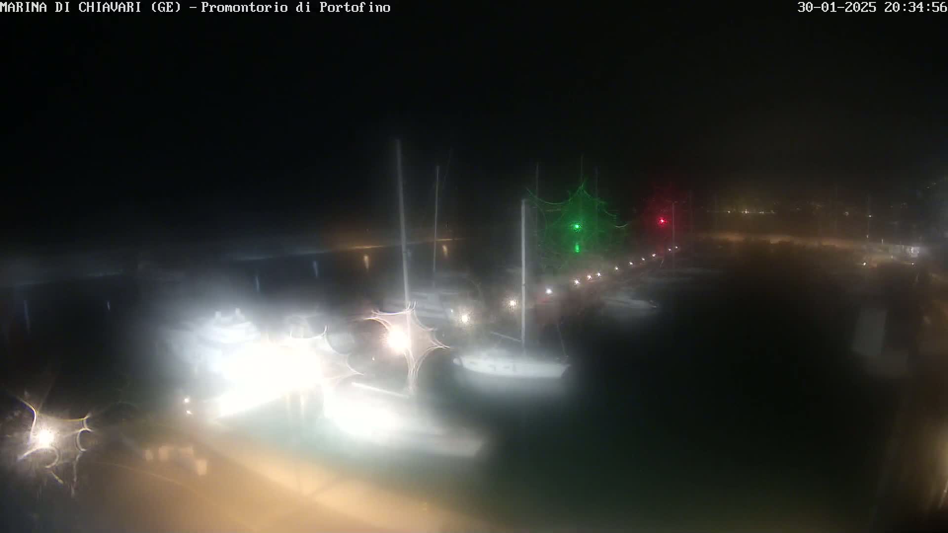 A nighttime, foggy view of a marina with several boats docked, illuminated by lights.