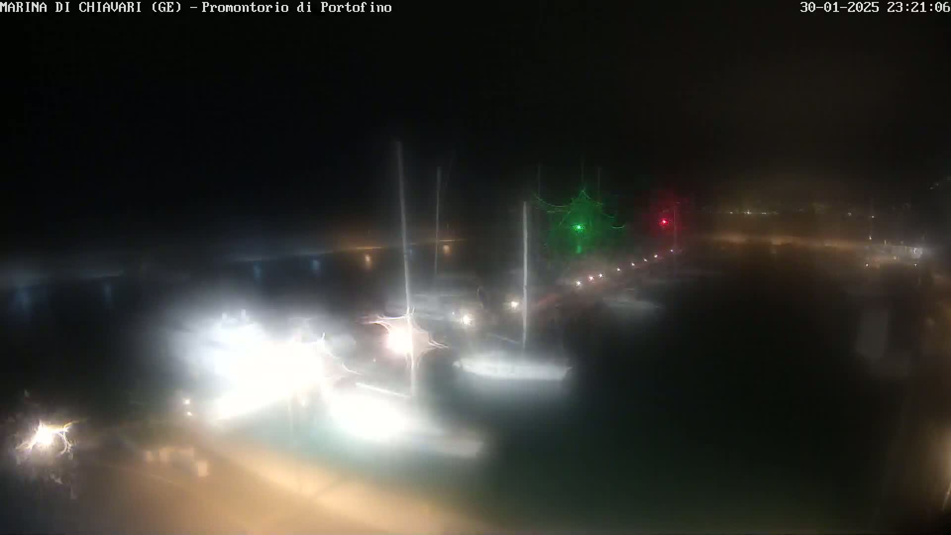 A nighttime, foggy view of a harbor with several boats illuminated by their own lights.