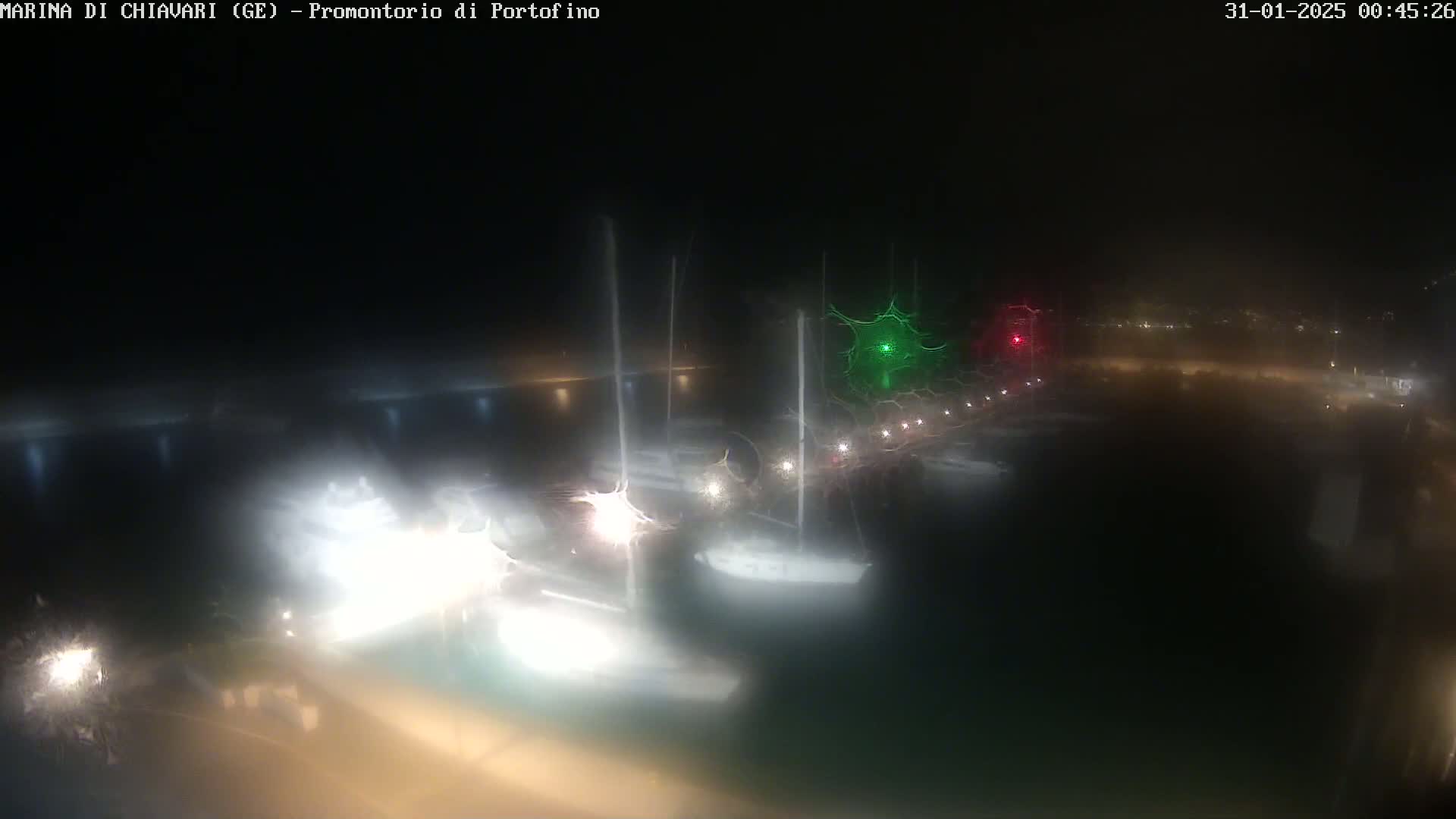 A nighttime, hazy view of a marina with several boats docked, illuminated by lights from the boats and the shore.