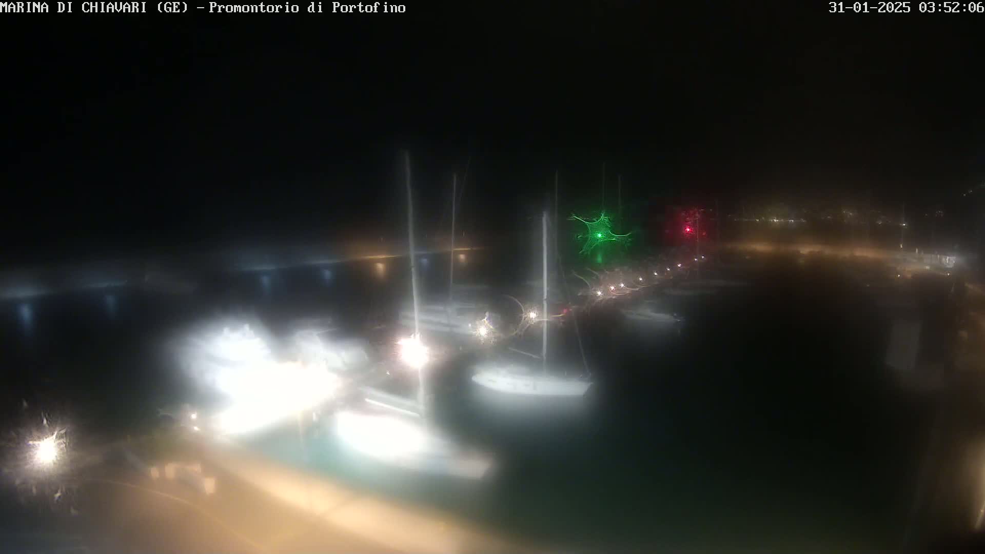 A nighttime, blurry view of several sailboats docked at a marina under dark, possibly foggy conditions.