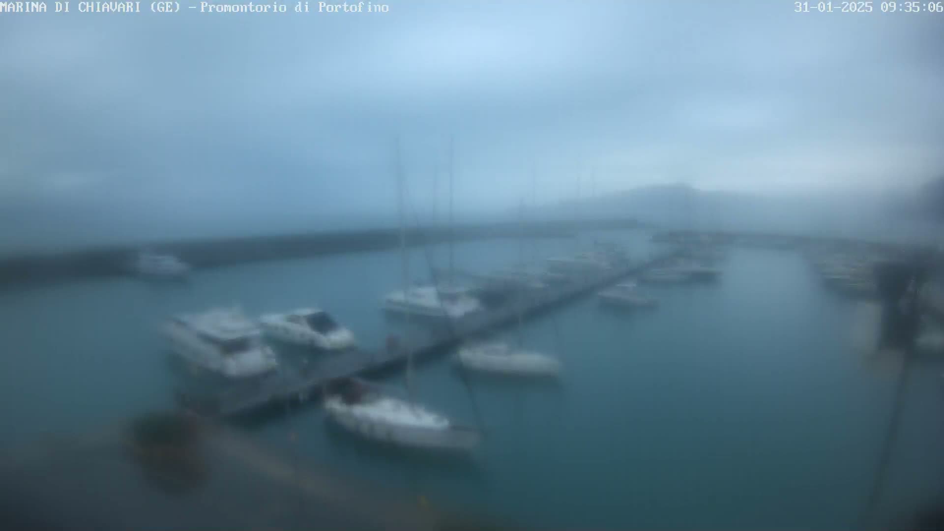 A marina filled with boats is shrouded in a misty, overcast atmosphere.