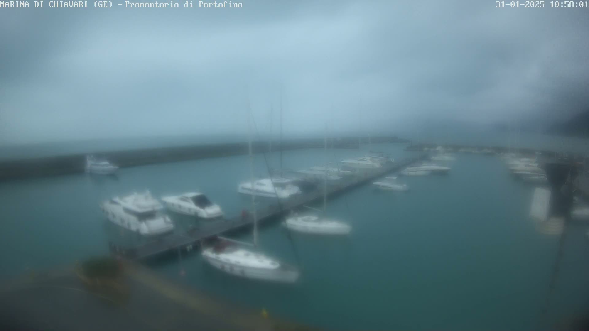 A marina filled with numerous boats is seen on an overcast day with rain.