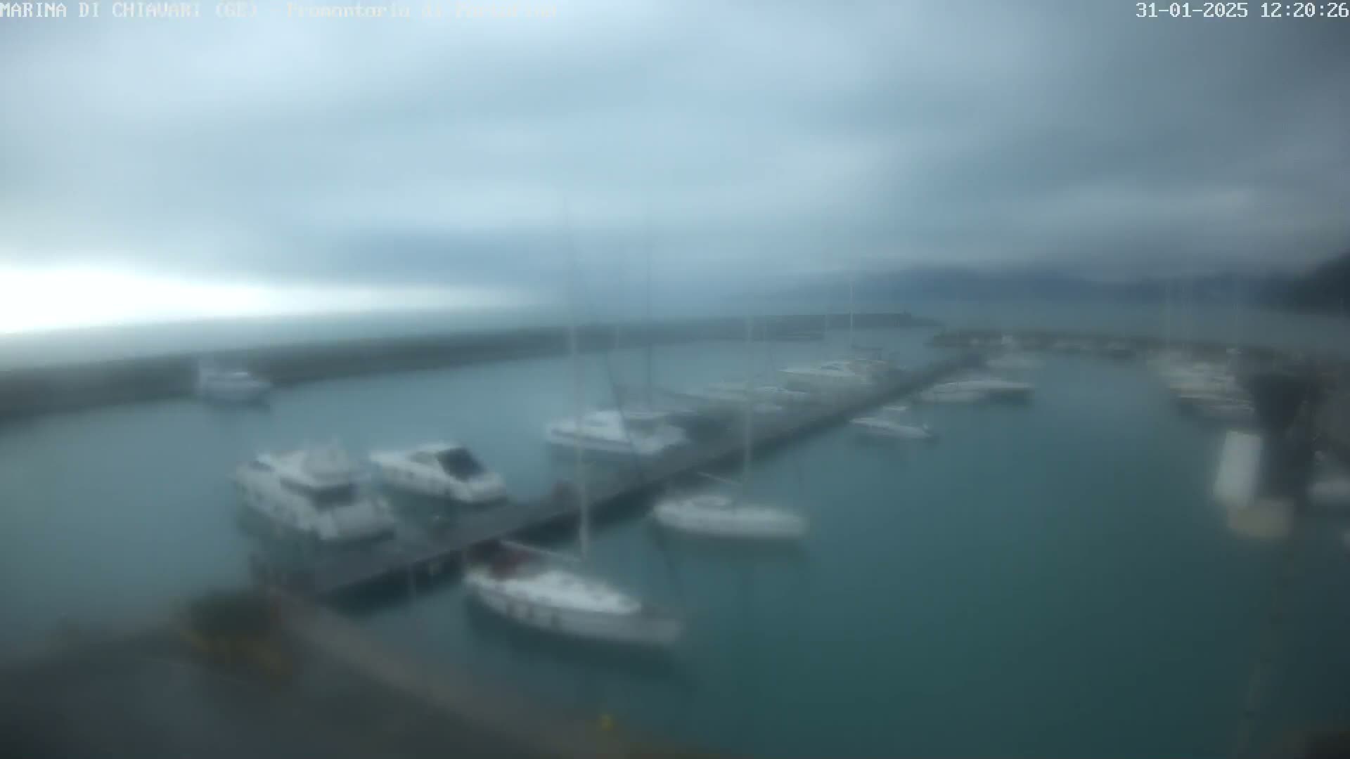 A marina filled with numerous boats is shown under an overcast sky.