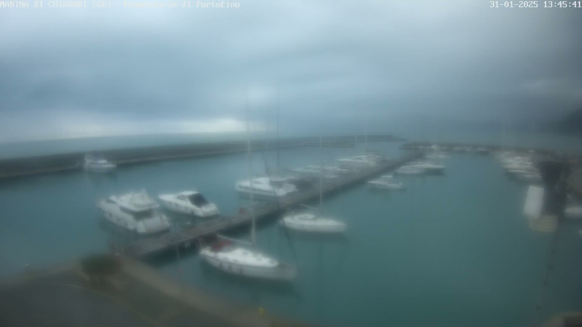Numerous boats are moored in a marina on an overcast day.